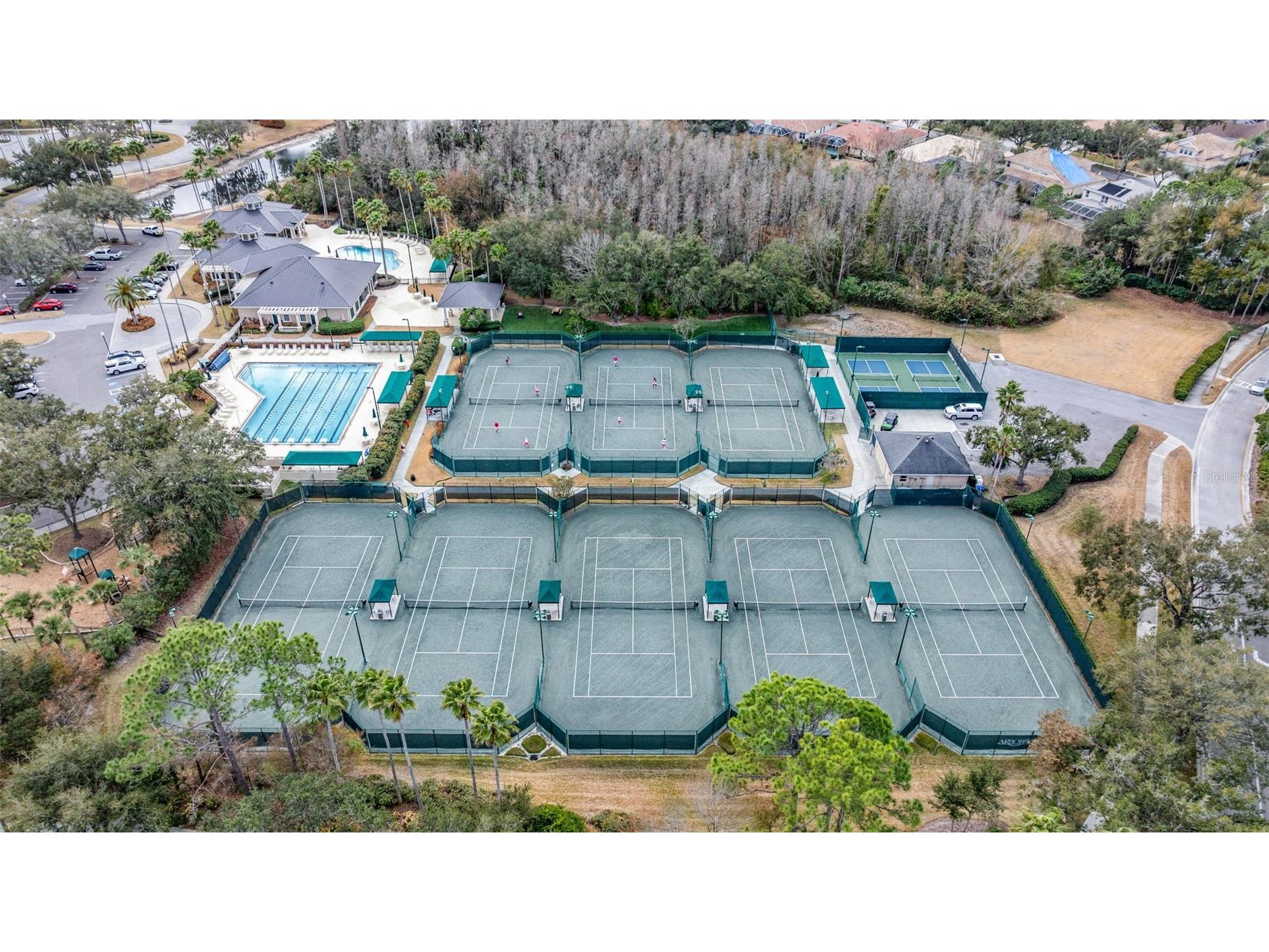 10246 Timberland Point Dr Tampa FL 33647 TB8475779 image41