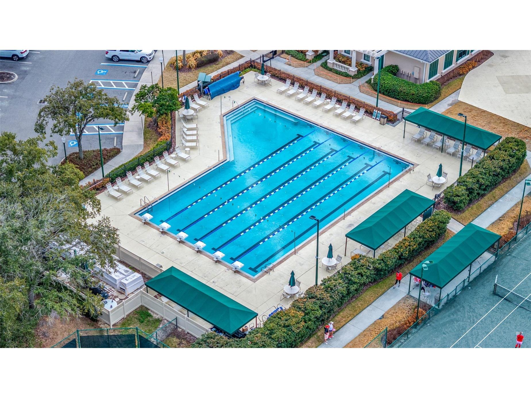 10246 Timberland Point Dr Tampa FL 33647 TB8475779 image42