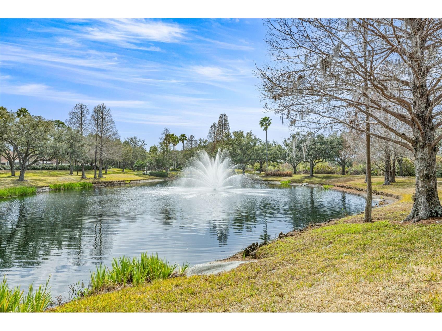 10246 Timberland Point Dr Tampa FL 33647 TB8475779 image44