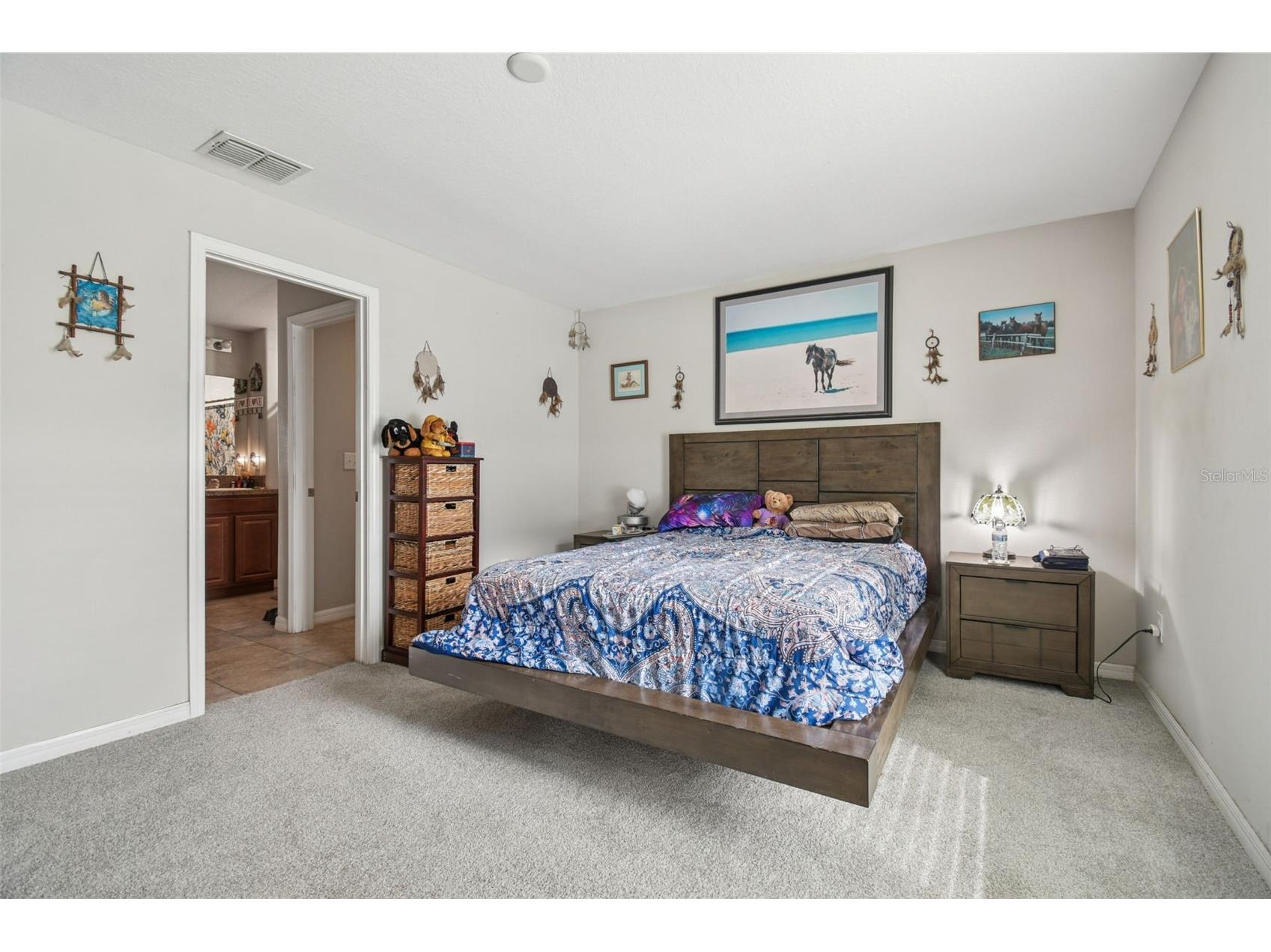 10248 Carloway Hills Drive Wimauma FL 33598 TB8464484 image14