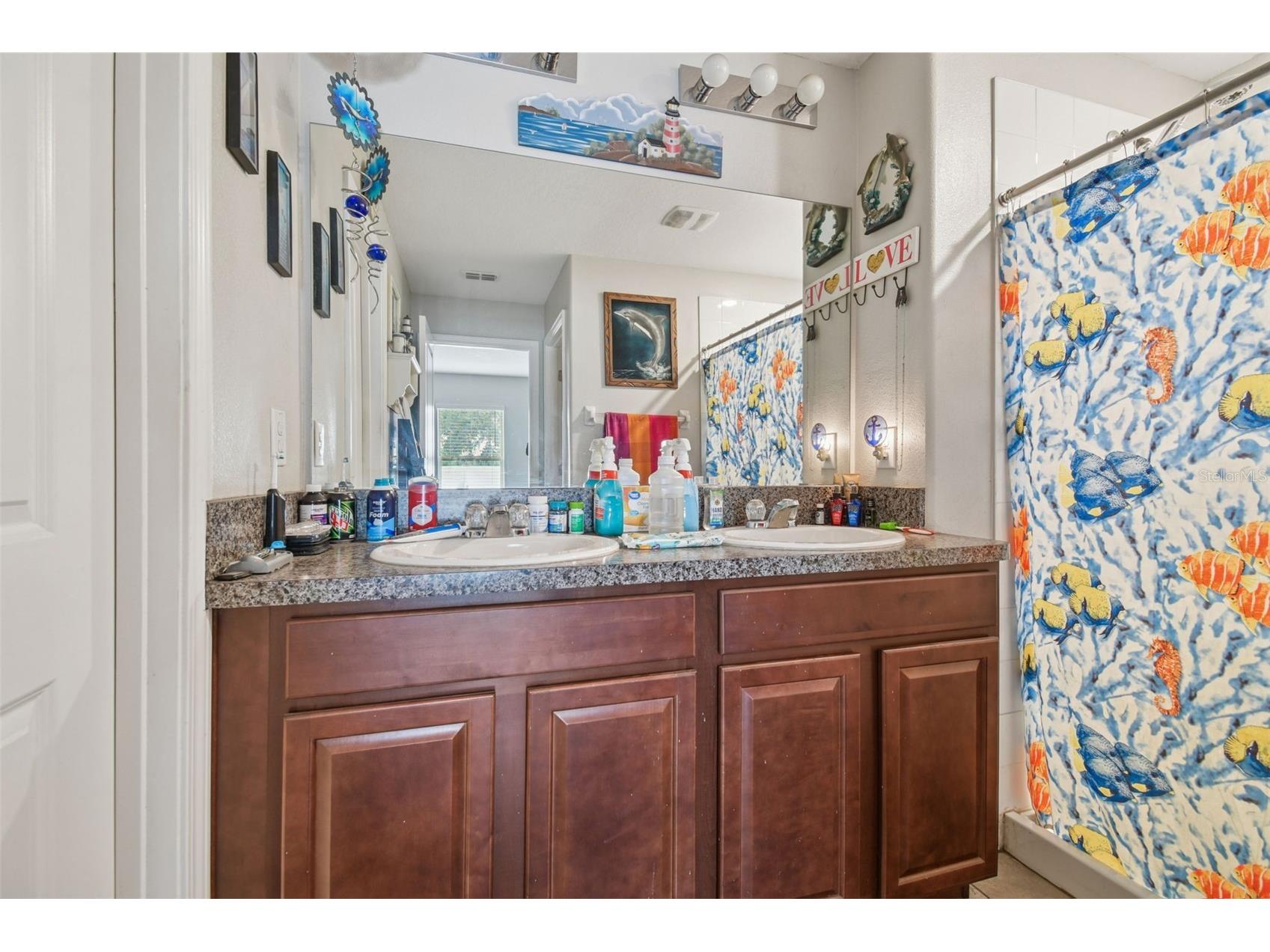 10248 Carloway Hills Drive Wimauma FL 33598 TB8464484 image17