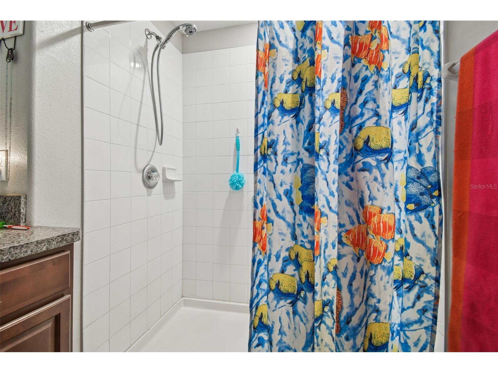 10248 Carloway Hills Drive Wimauma FL 33598 TB8464484 image18