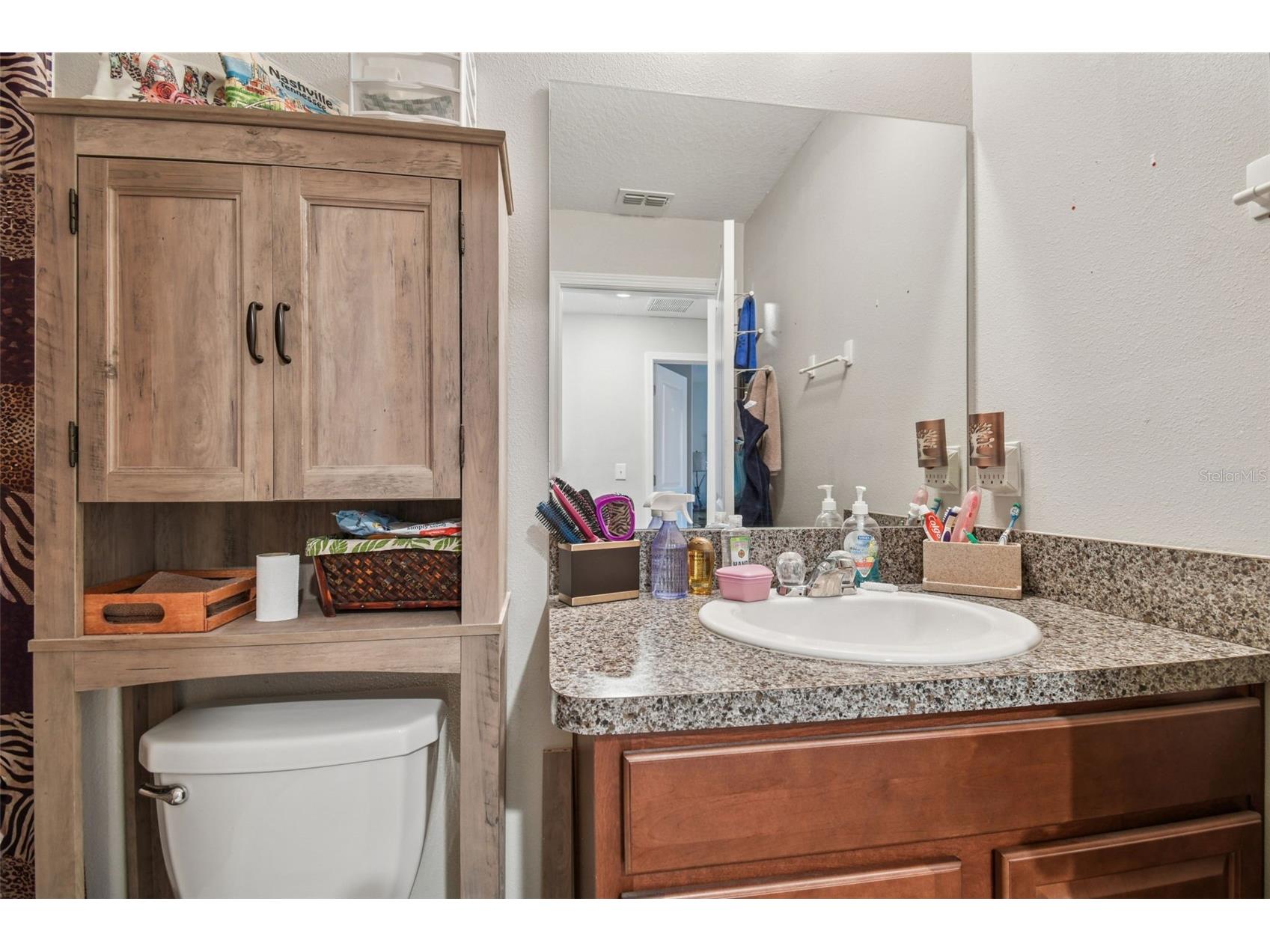 10248 Carloway Hills Drive Wimauma FL 33598 TB8464484 image19