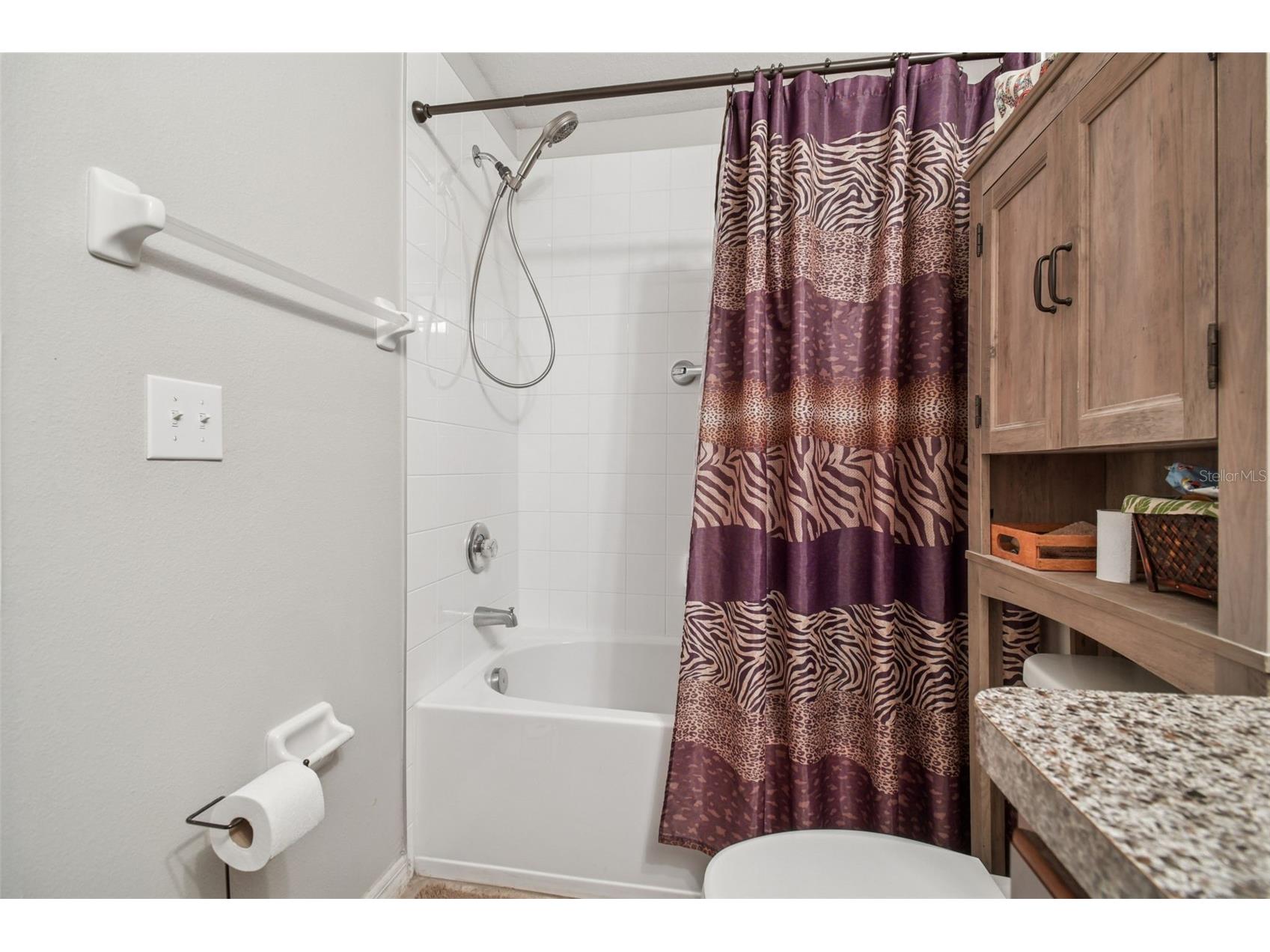 10248 Carloway Hills Drive Wimauma FL 33598 TB8464484 image21