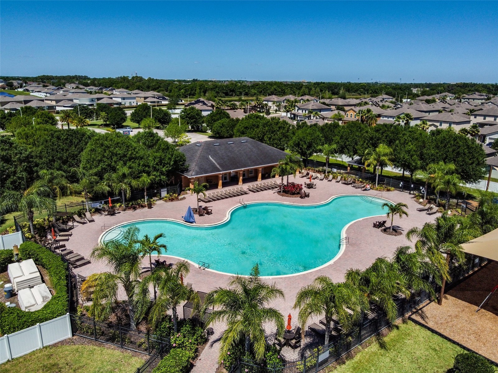 10248 Carloway Hills Drive Wimauma FL 33598 TB8464484 image39