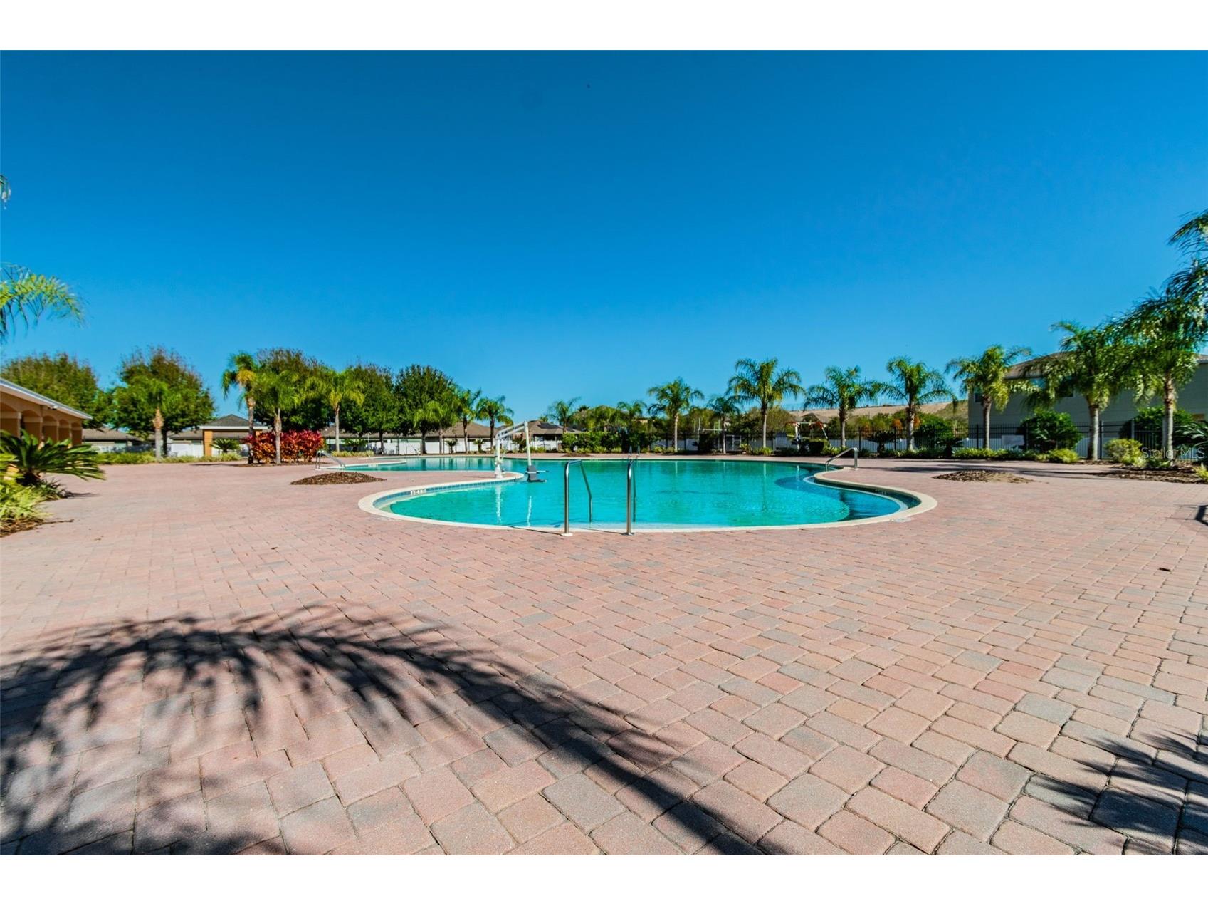 10248 Carloway Hills Drive Wimauma FL 33598 TB8464484 image45