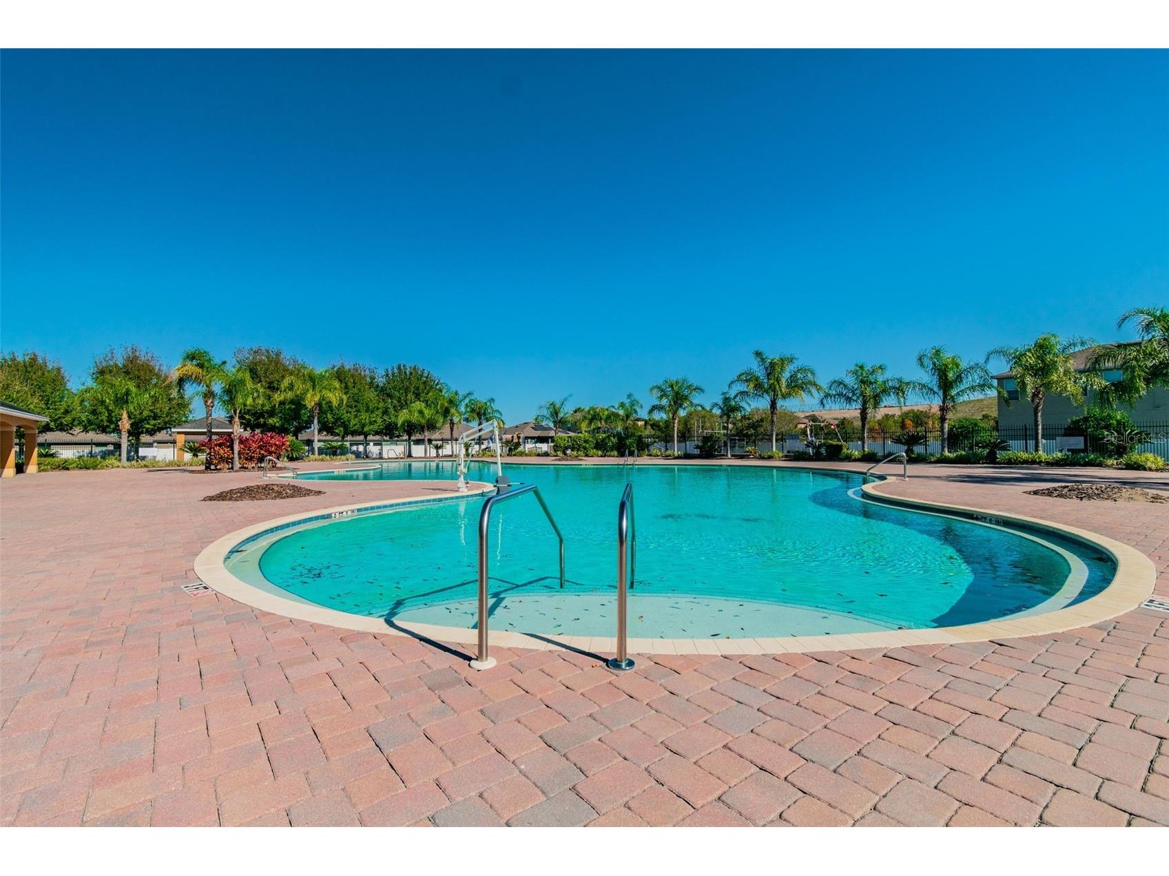 10248 Carloway Hills Drive Wimauma FL 33598 TB8464484 image46