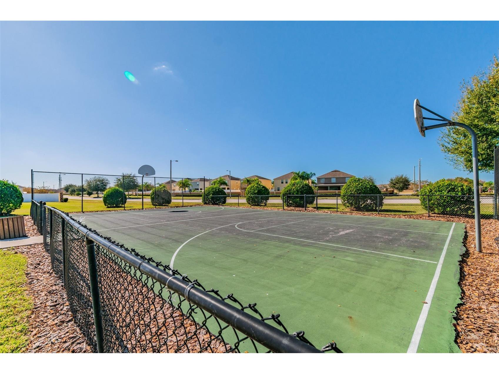 10248 Carloway Hills Drive Wimauma FL 33598 TB8464484 image51