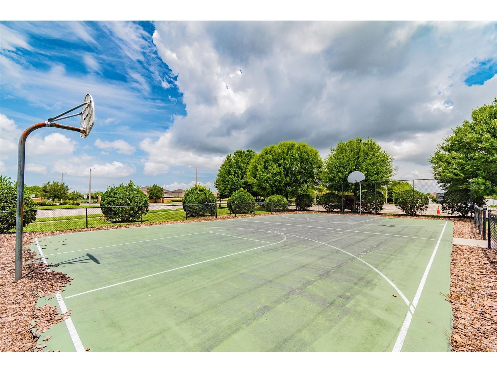 10248 Carloway Hills Drive Wimauma FL 33598 TB8464484 image54