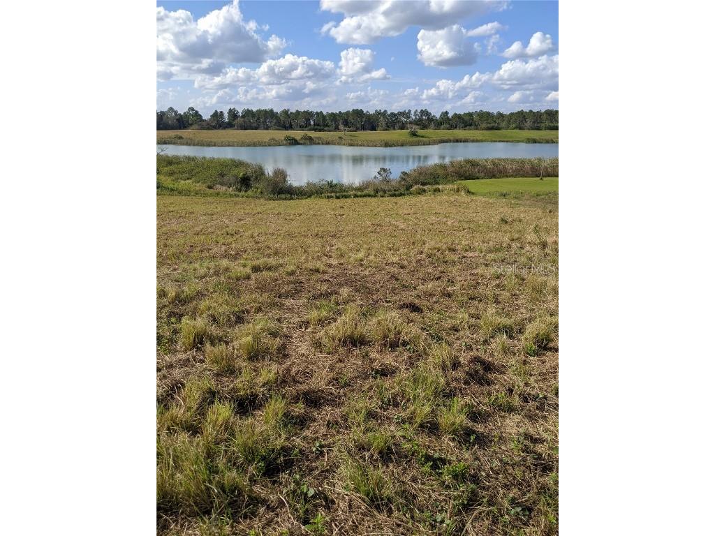 10249 Hwy 555 Fort Meade FL 33841 T3350736 image1