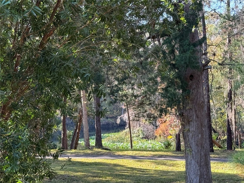 10249 NE 28th Loop #P Silver Springs FL 34488 - OCKLAWAHA O6363284 image12