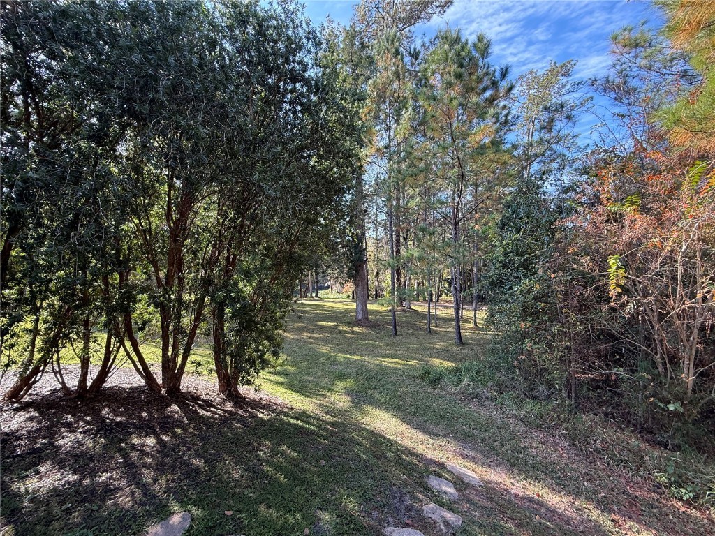 10249 NE 28th Loop #P Silver Springs FL 34488 - OCKLAWAHA O6363284 image13