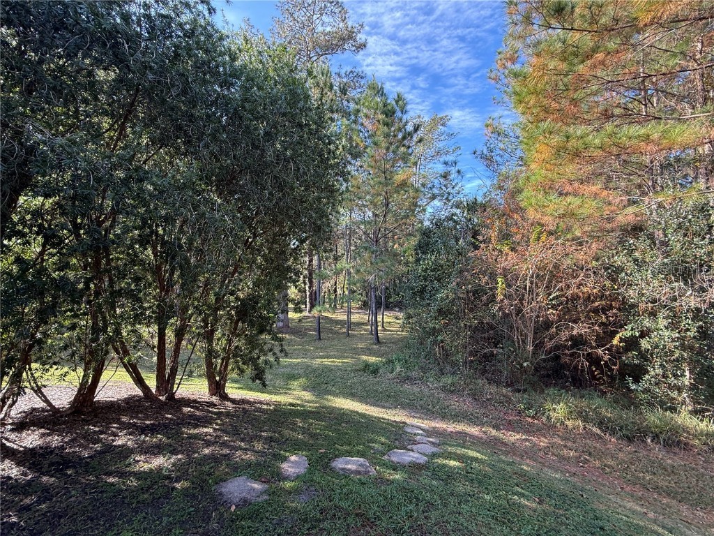 10249 NE 28th Loop #P Silver Springs FL 34488 - OCKLAWAHA O6363284 image14