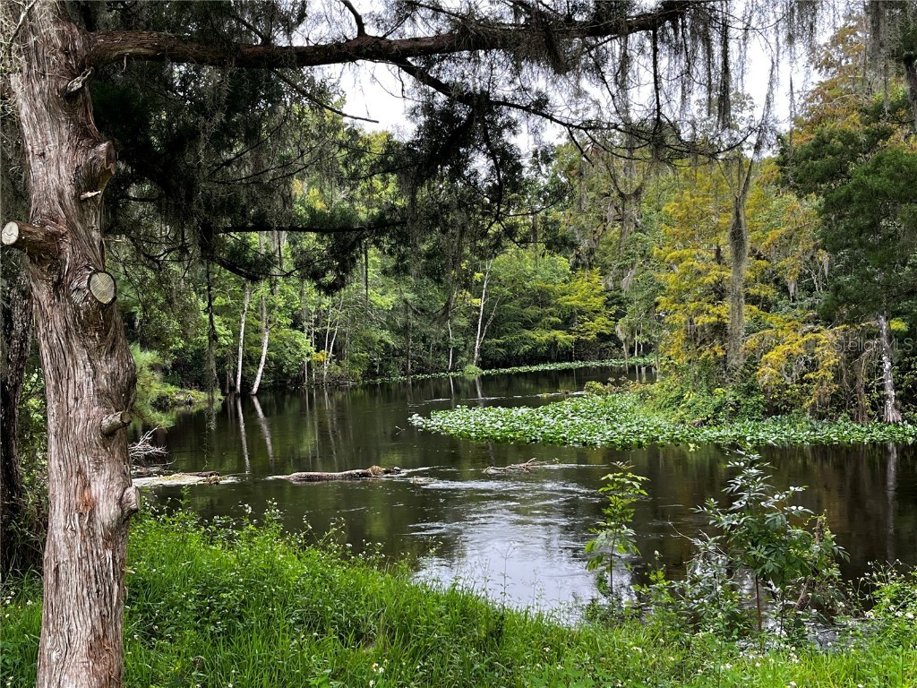 10249 NE 28th Loop #P Silver Springs FL 34488 - OCKLAWAHA O6363284 image35