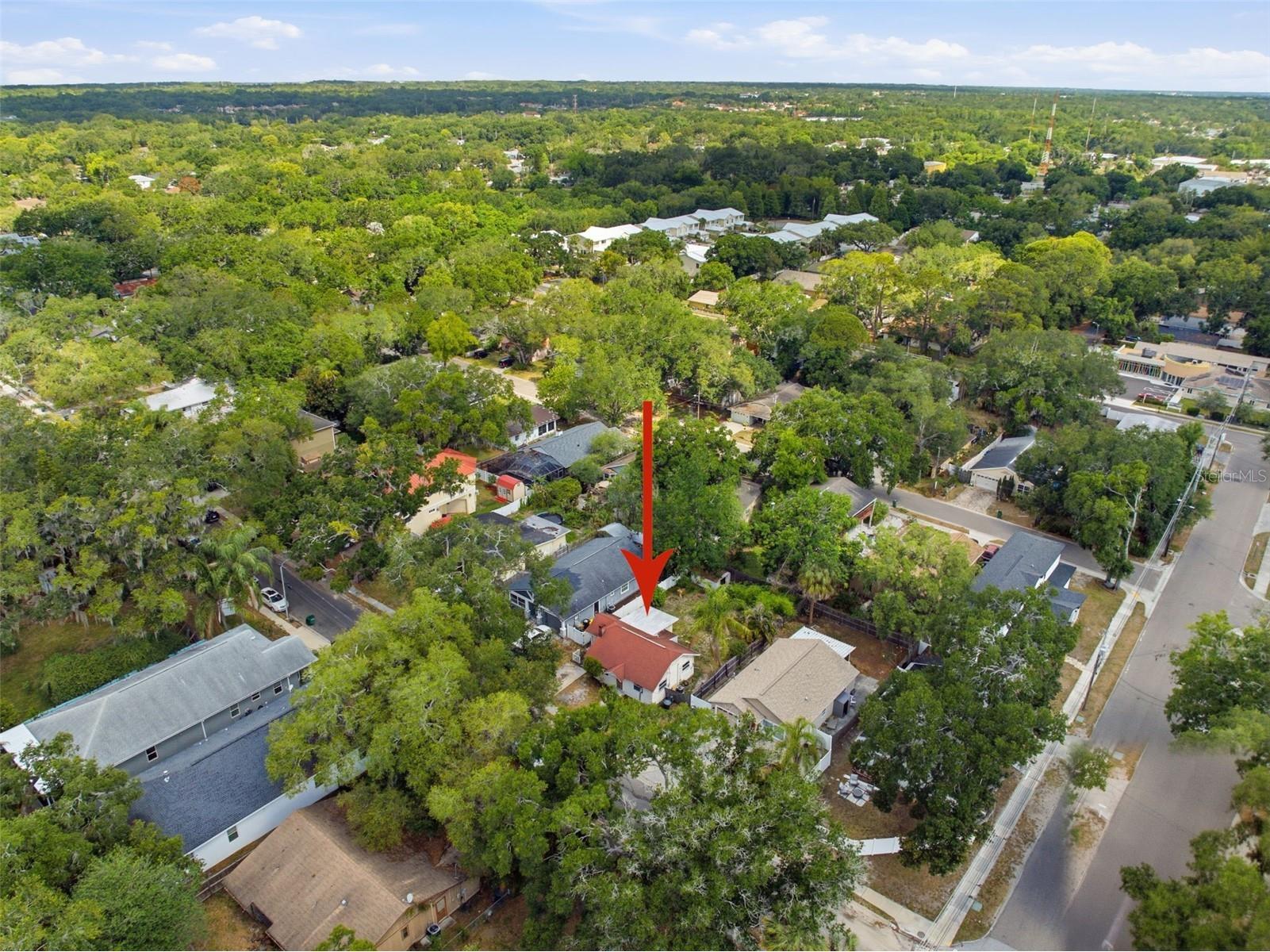 1025 3rd Street N Safety Harbor FL 34695 TB8507578 image12