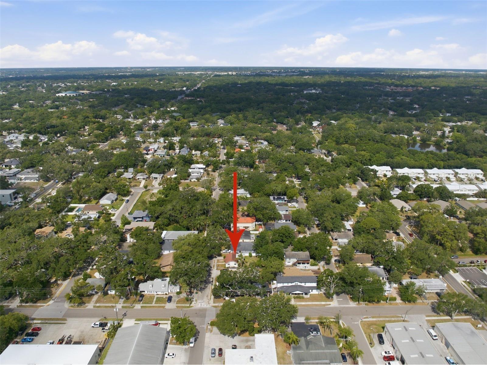 1025 3rd Street N Safety Harbor FL 34695 TB8507578 image19