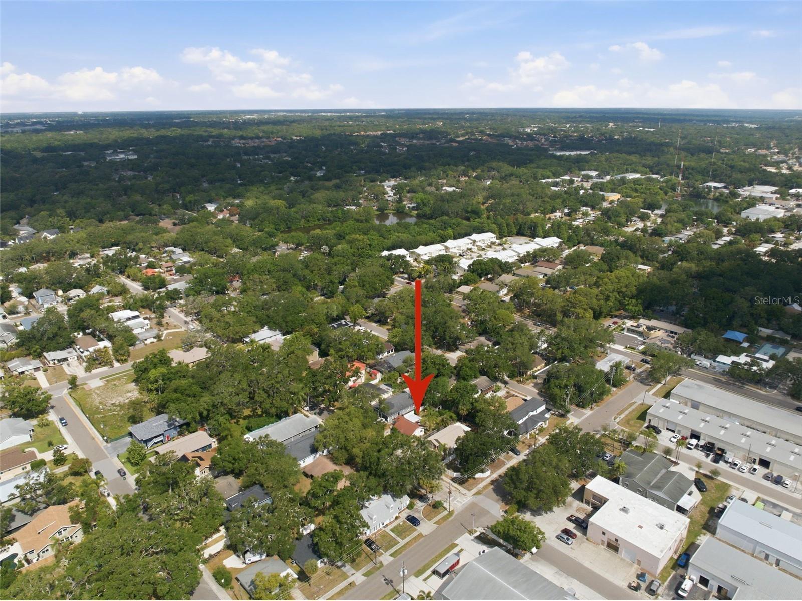 1025 3rd Street N Safety Harbor FL 34695 TB8507578 image20