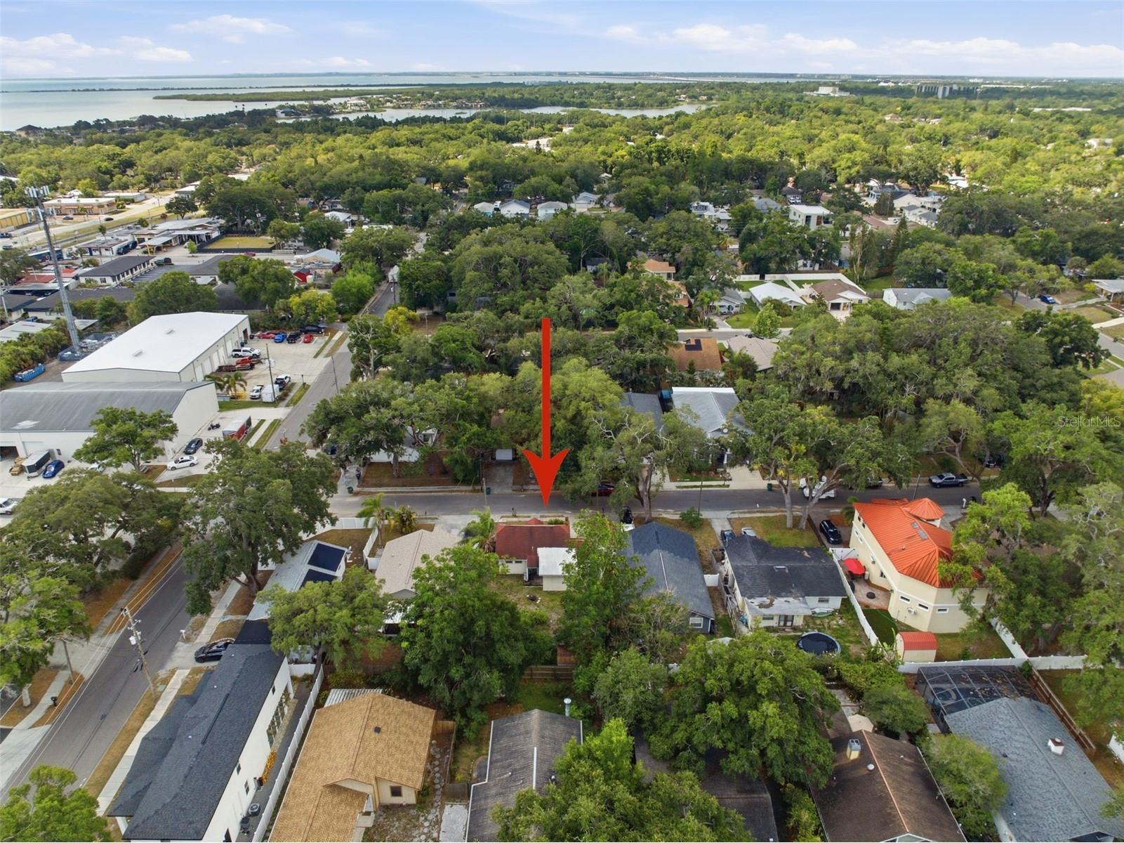 1025 3rd Street N Safety Harbor FL 34695 TB8507578 image9