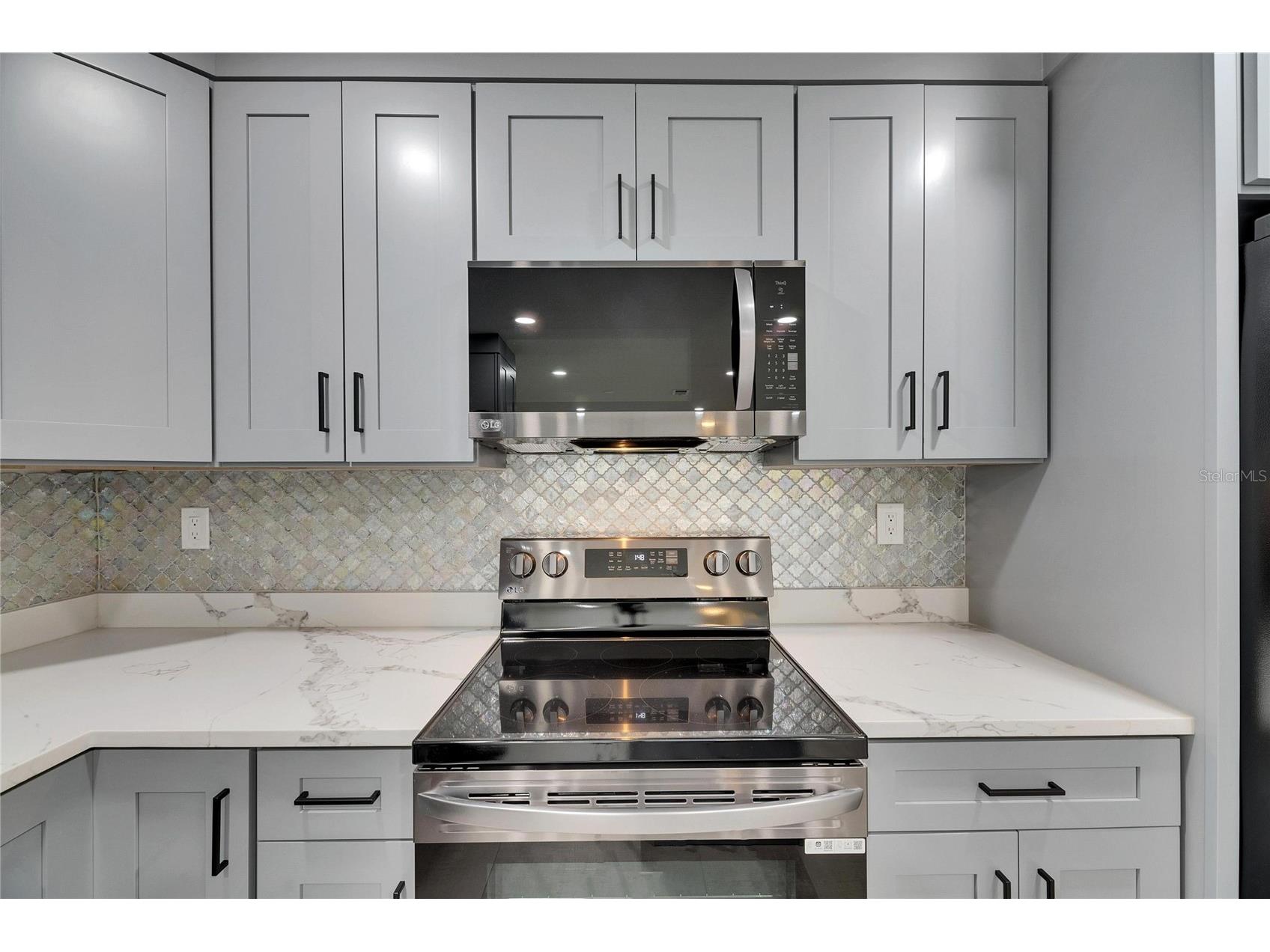 1025 Apollo Beach Boulevard #1 Apollo Beach FL 33572 TB8476397 image8