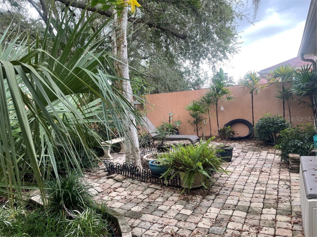 1025 Avalon Avenue Lady Lake FL 32159 O6361460 image7