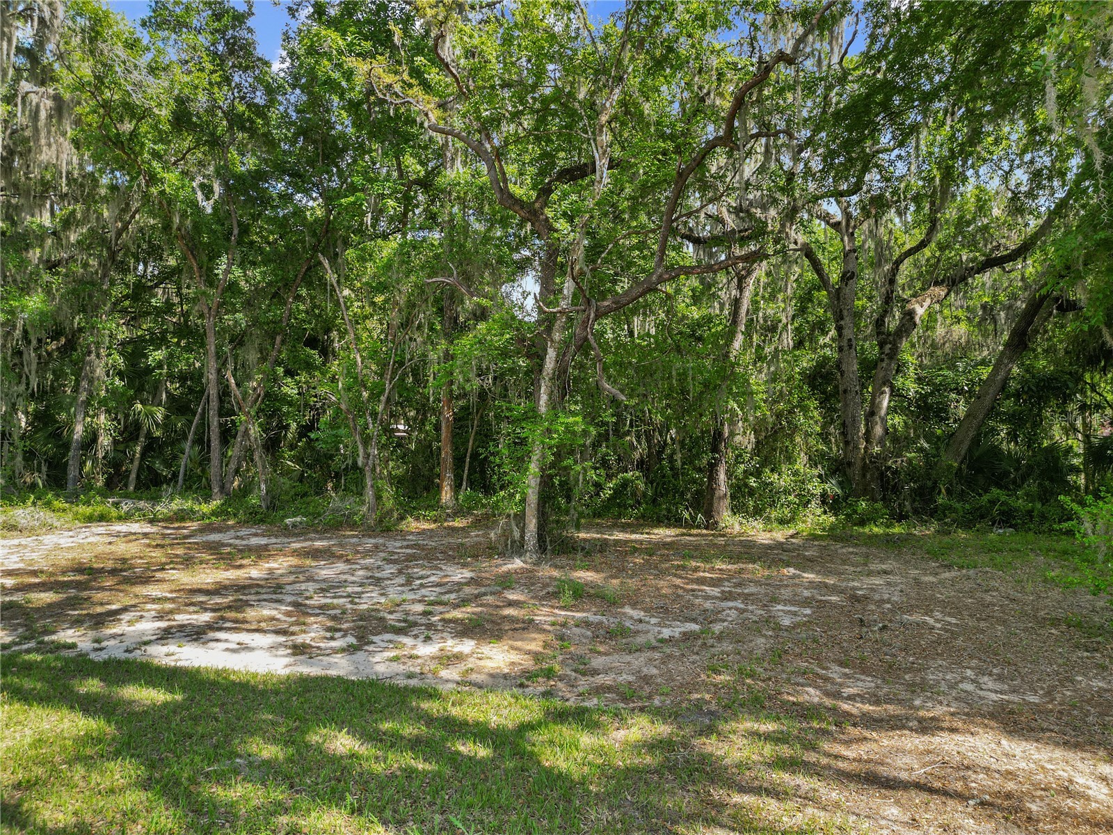 1025 Cr 452a Lake Panasoffkee FL 33538 G5110614 image38