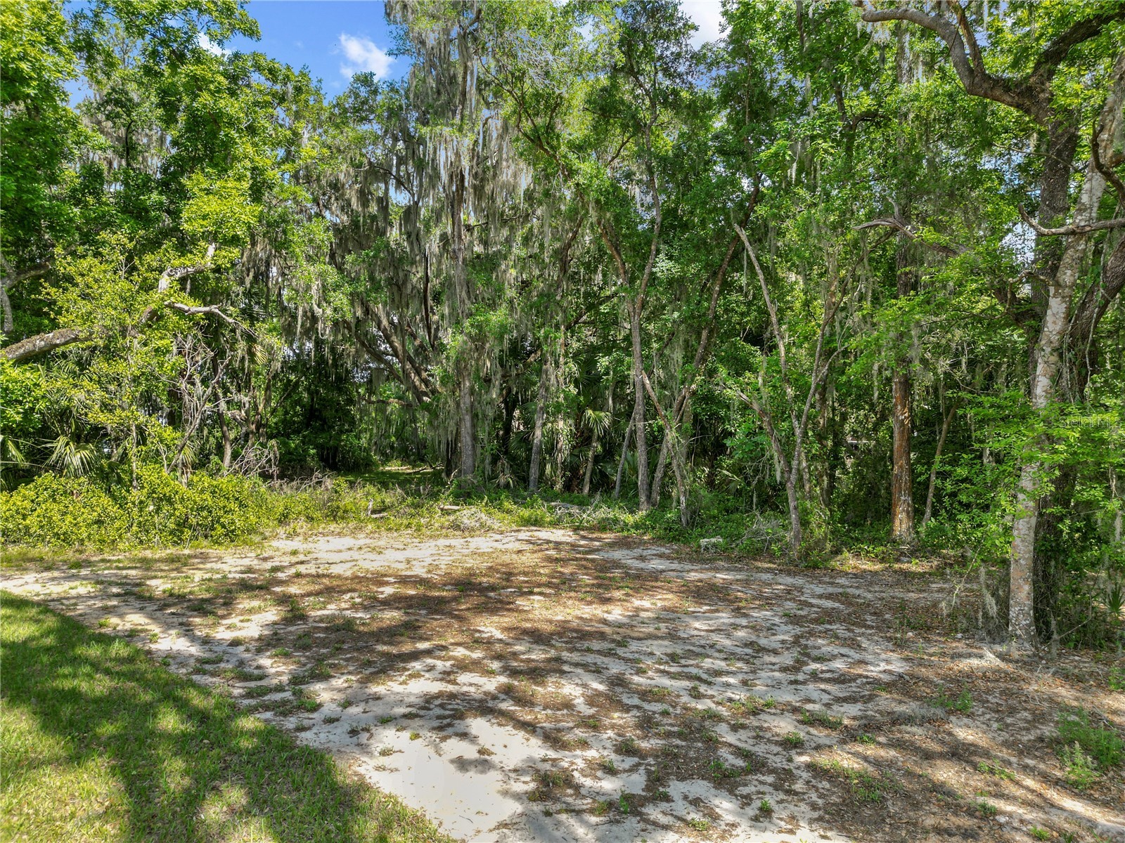 1025 Cr 452a Lake Panasoffkee FL 33538 G5110614 image39