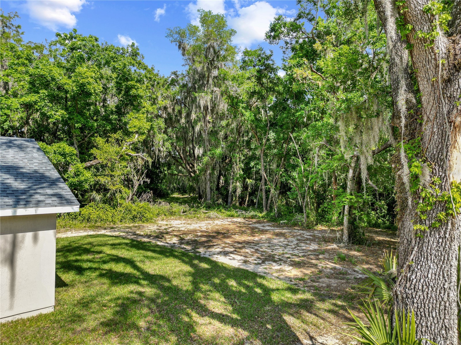 1025 Cr 452a Lake Panasoffkee FL 33538 G5110614 image40