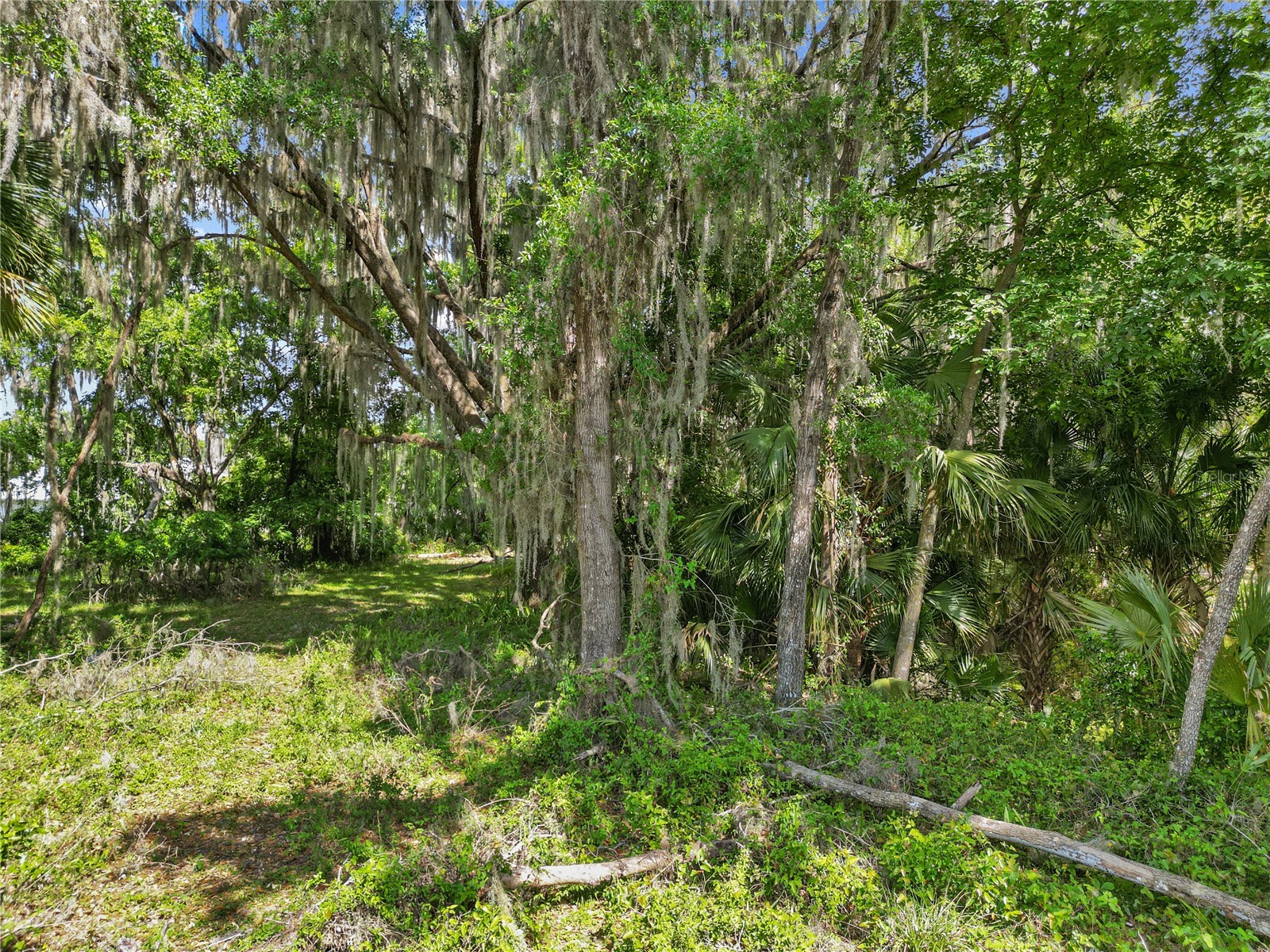 1025 Cr 452a Lake Panasoffkee FL 33538 G5110614 image41
