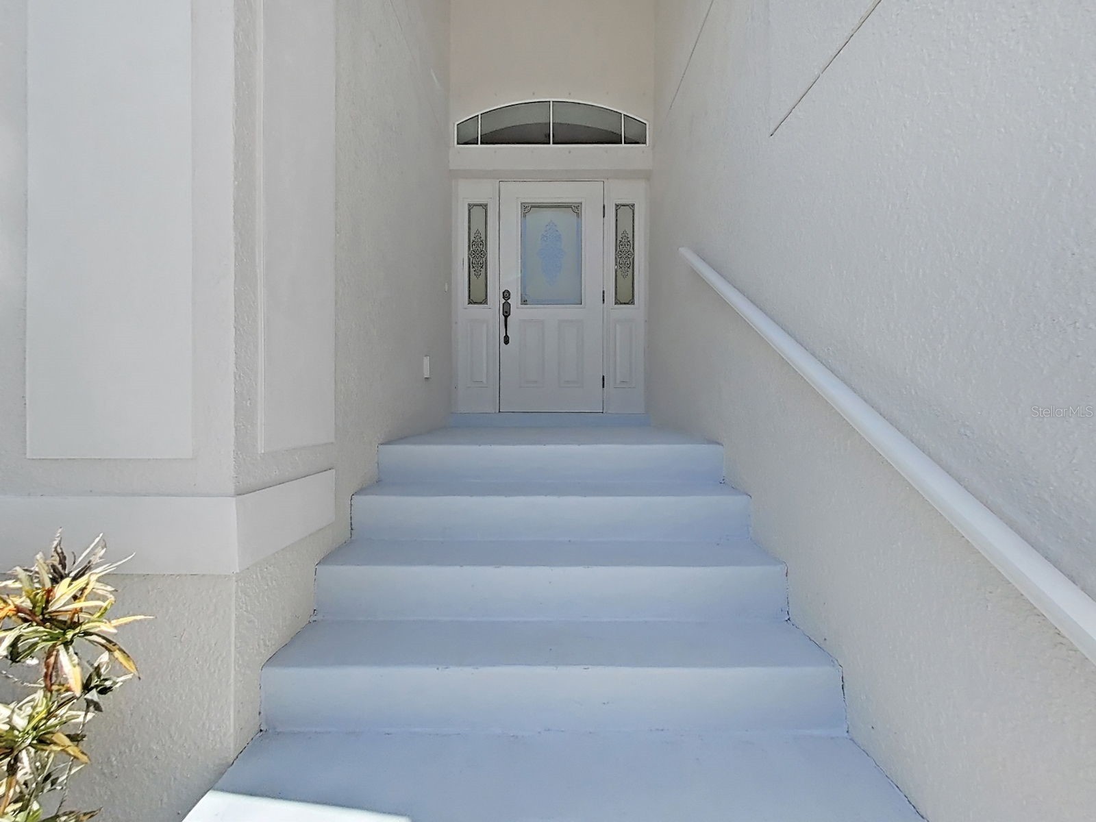 1025 Lake Avoca Place Tarpon Springs FL 34689 - LAKE AVOCA TB8520447 image10