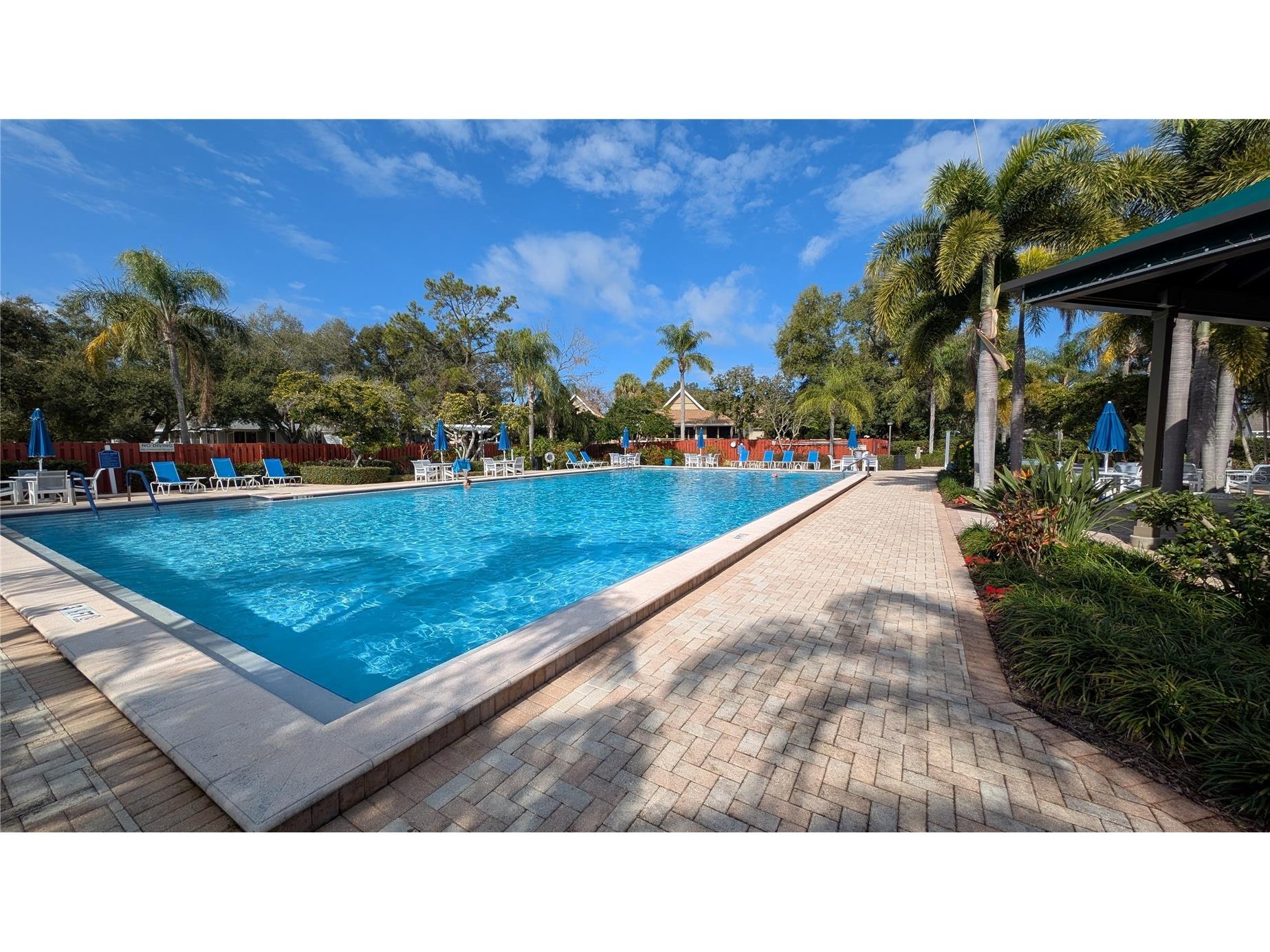 1025 Lake Avoca Place Tarpon Springs FL 34689 - LAKE AVOCA TB8520447 image48