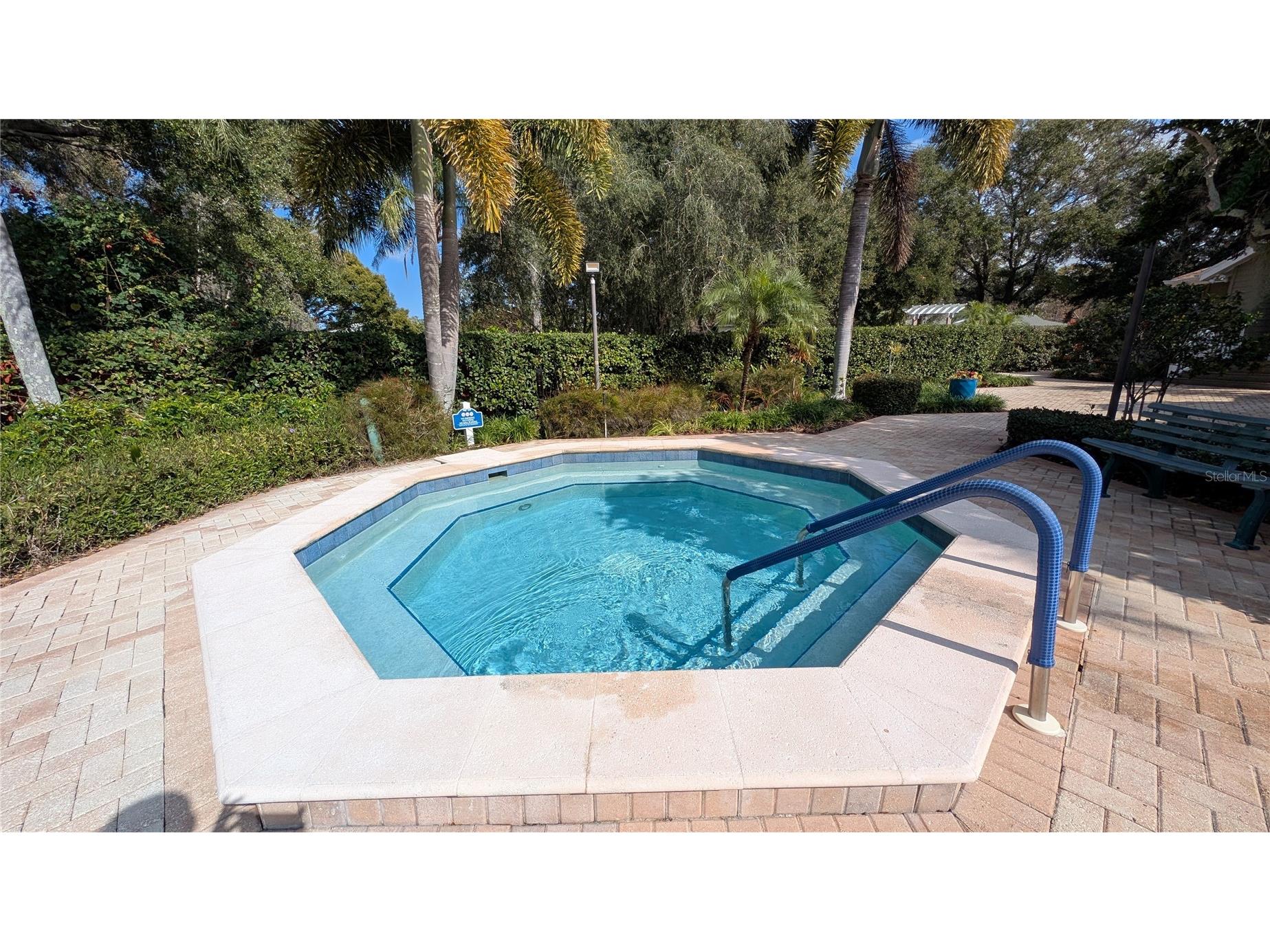 1025 Lake Avoca Place Tarpon Springs FL 34689 - LAKE AVOCA TB8520447 image49