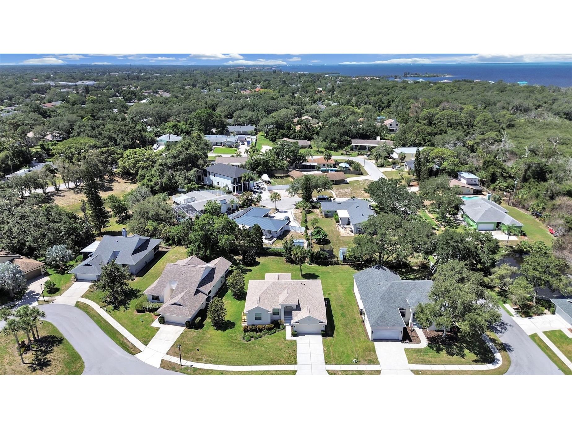 1025 Lake Avoca Place Tarpon Springs FL 34689 - LAKE AVOCA TB8520447 image5