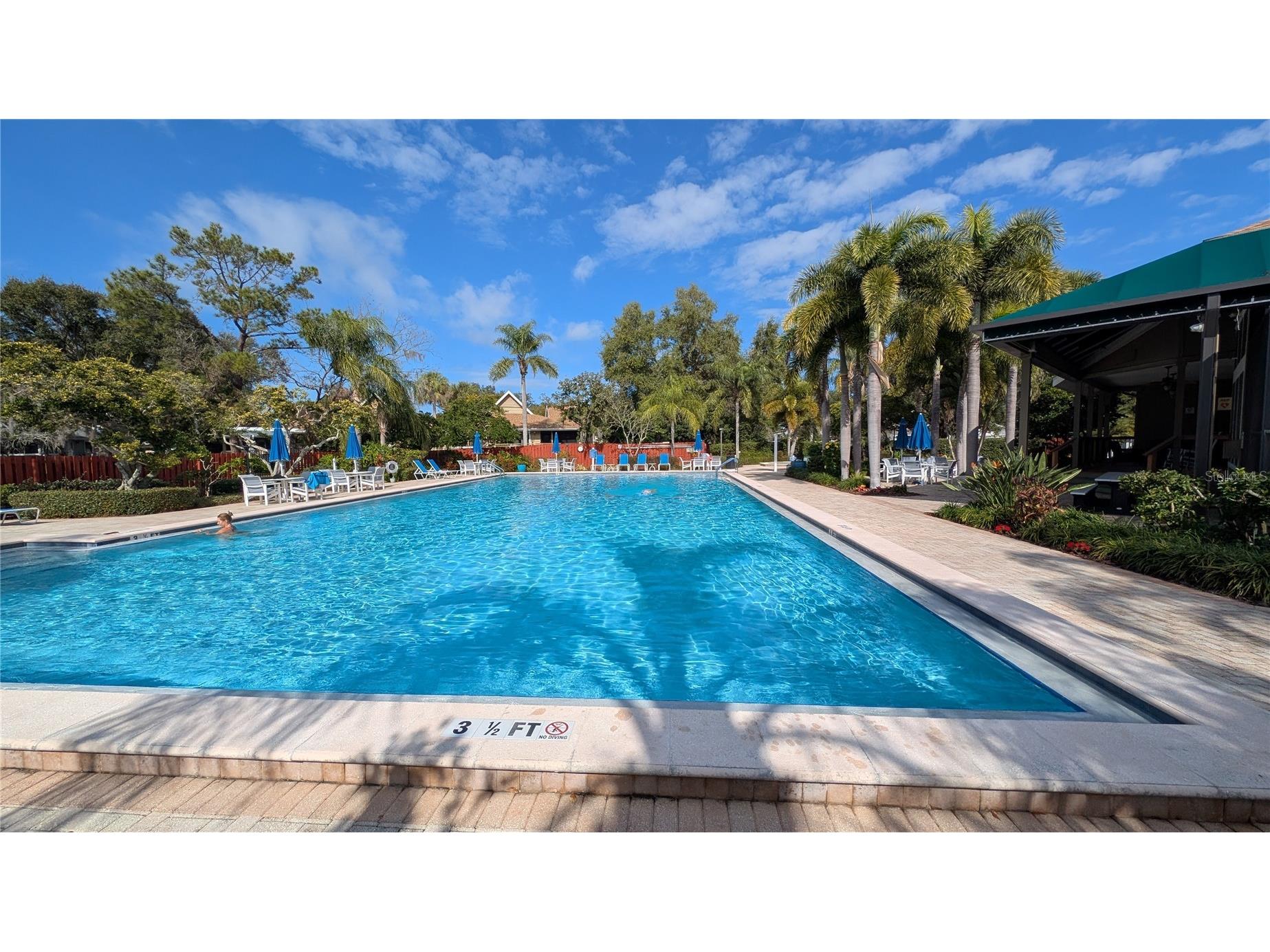 1025 Lake Avoca Place Tarpon Springs FL 34689 - LAKE AVOCA TB8520447 image50