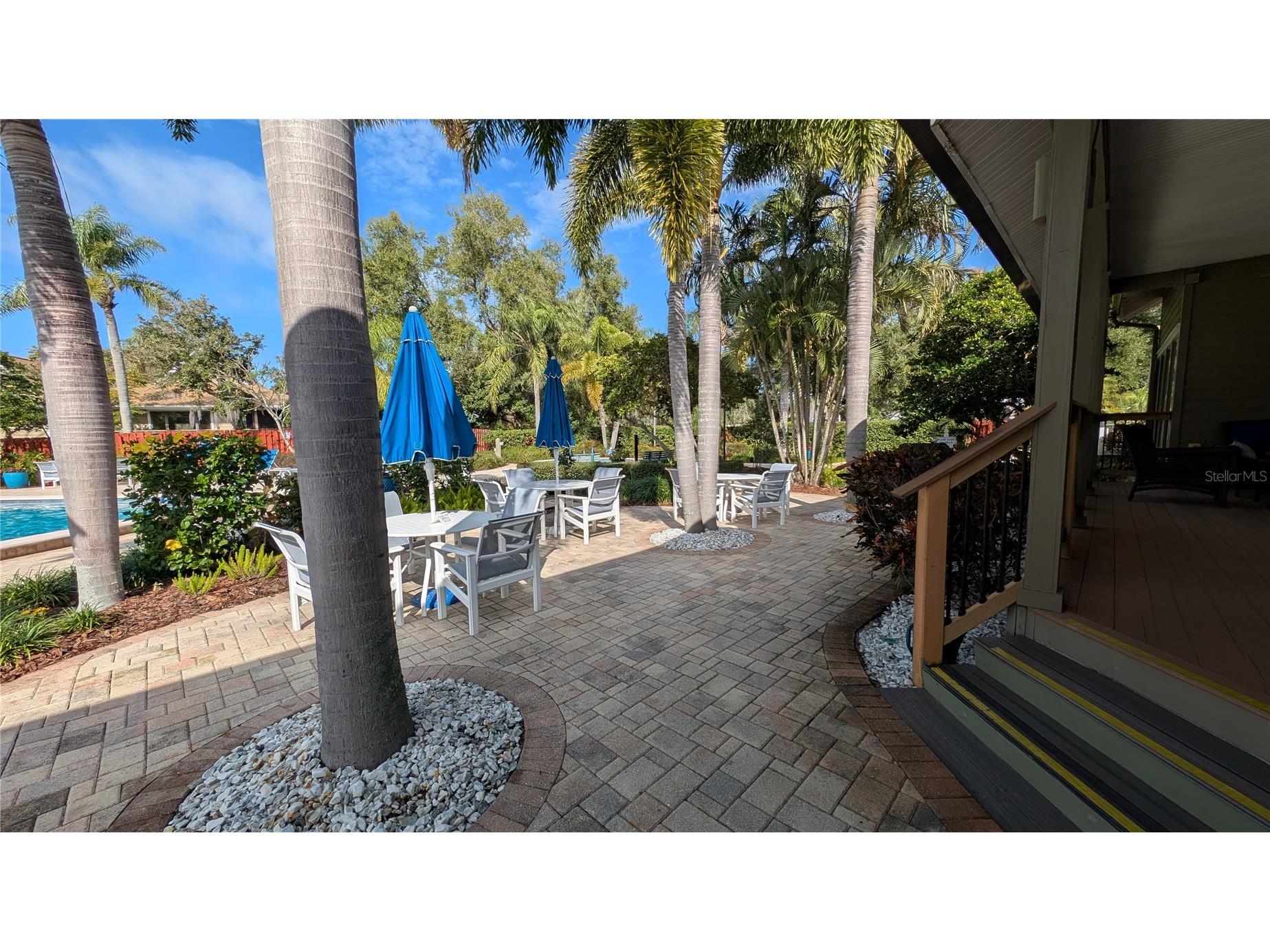 1025 Lake Avoca Place Tarpon Springs FL 34689 - LAKE AVOCA TB8520447 image53