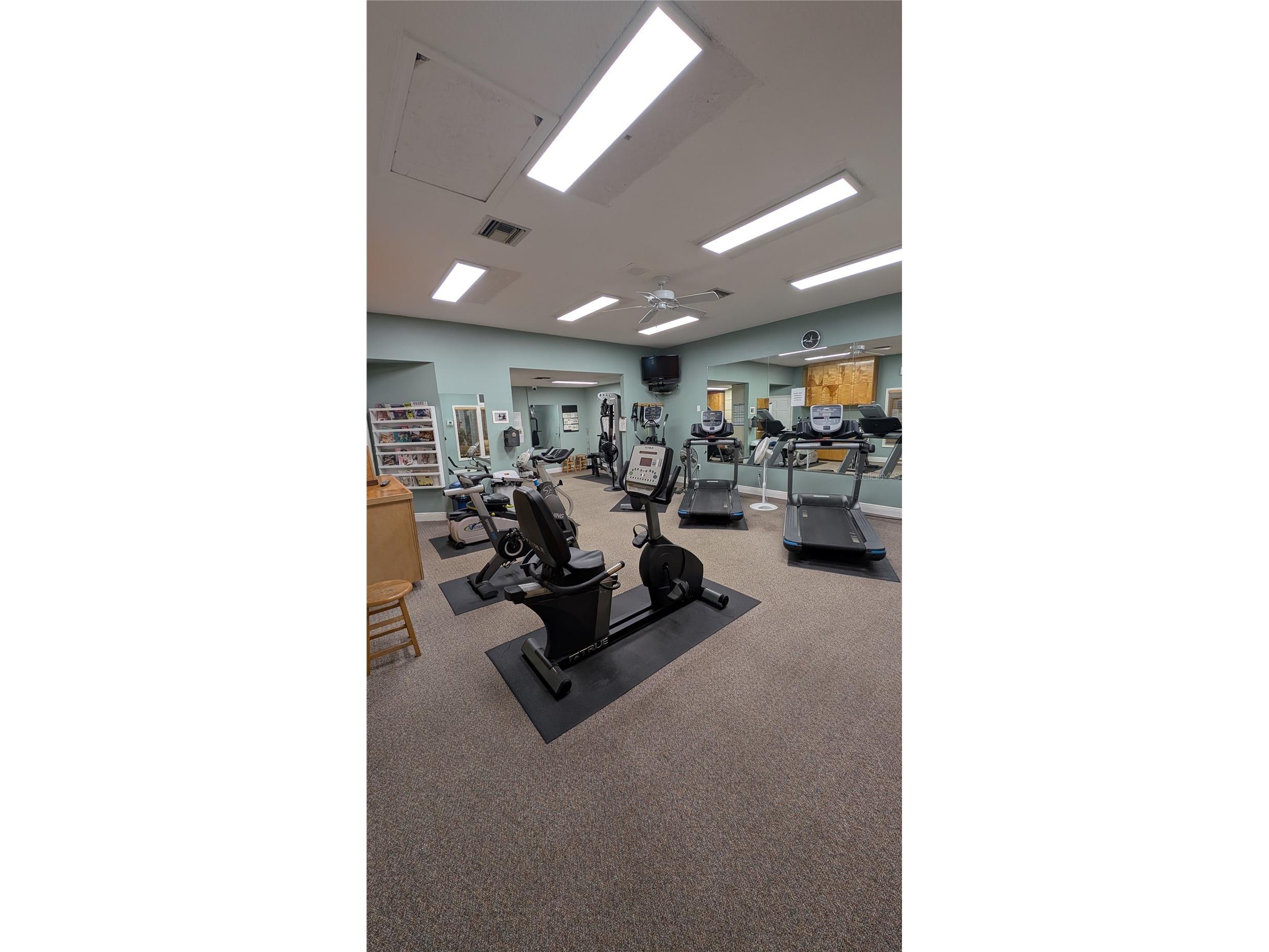 1025 Lake Avoca Place Tarpon Springs FL 34689 - LAKE AVOCA TB8520447 image60