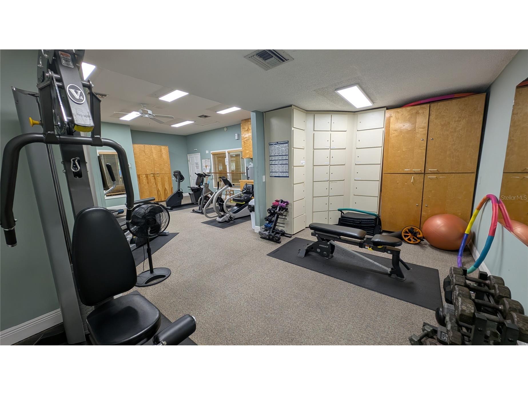 1025 Lake Avoca Place Tarpon Springs FL 34689 - LAKE AVOCA TB8520447 image61