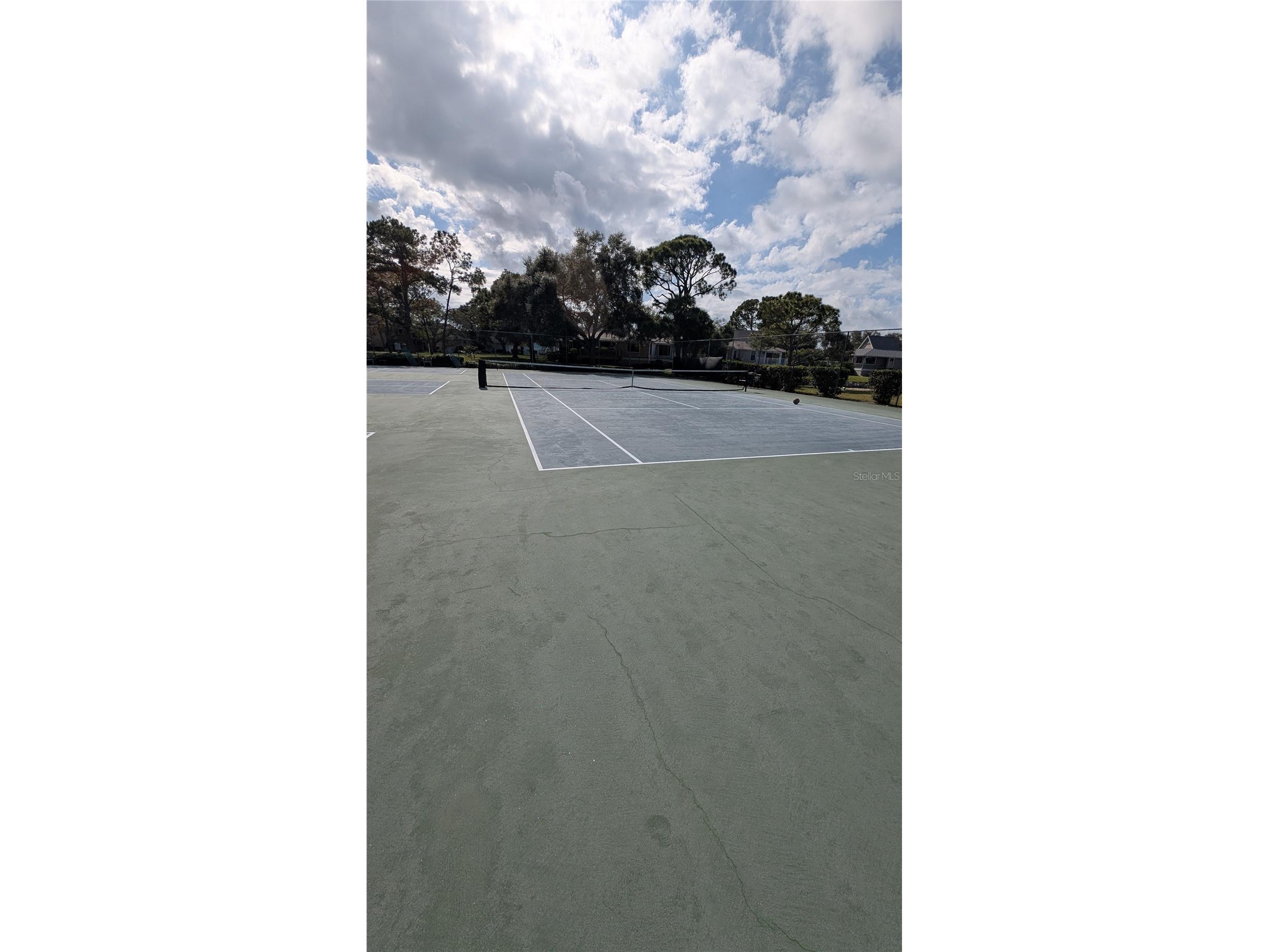 1025 Lake Avoca Place Tarpon Springs FL 34689 - LAKE AVOCA TB8520447 image67