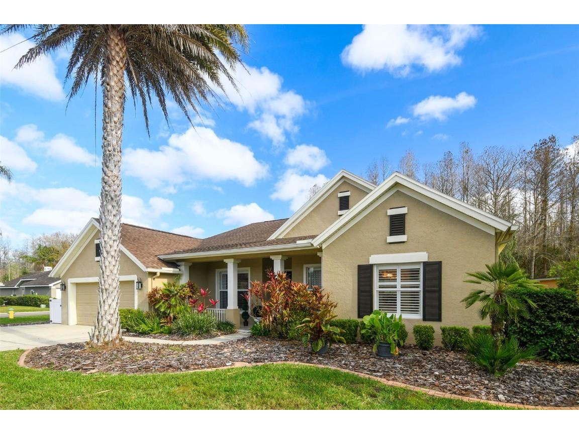 1025 Maravista Drive Trinity FL 34655 T3430303 image1