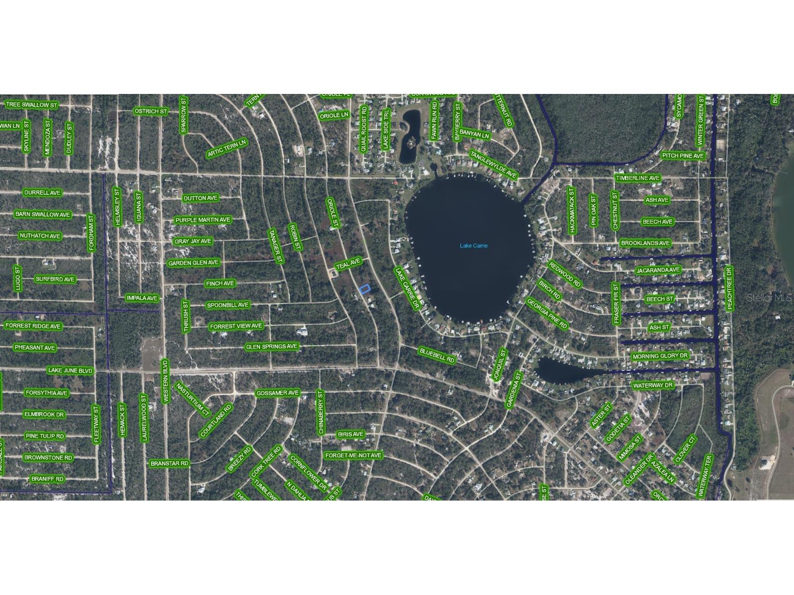 1025 Oriole Street Lake Placid FL 33852 A4695873 image3