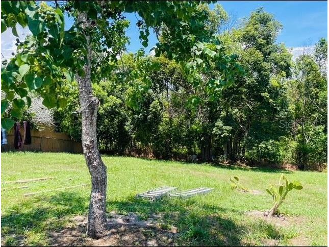 1025 Persian Street Deltona FL 32725 V4943465 image22