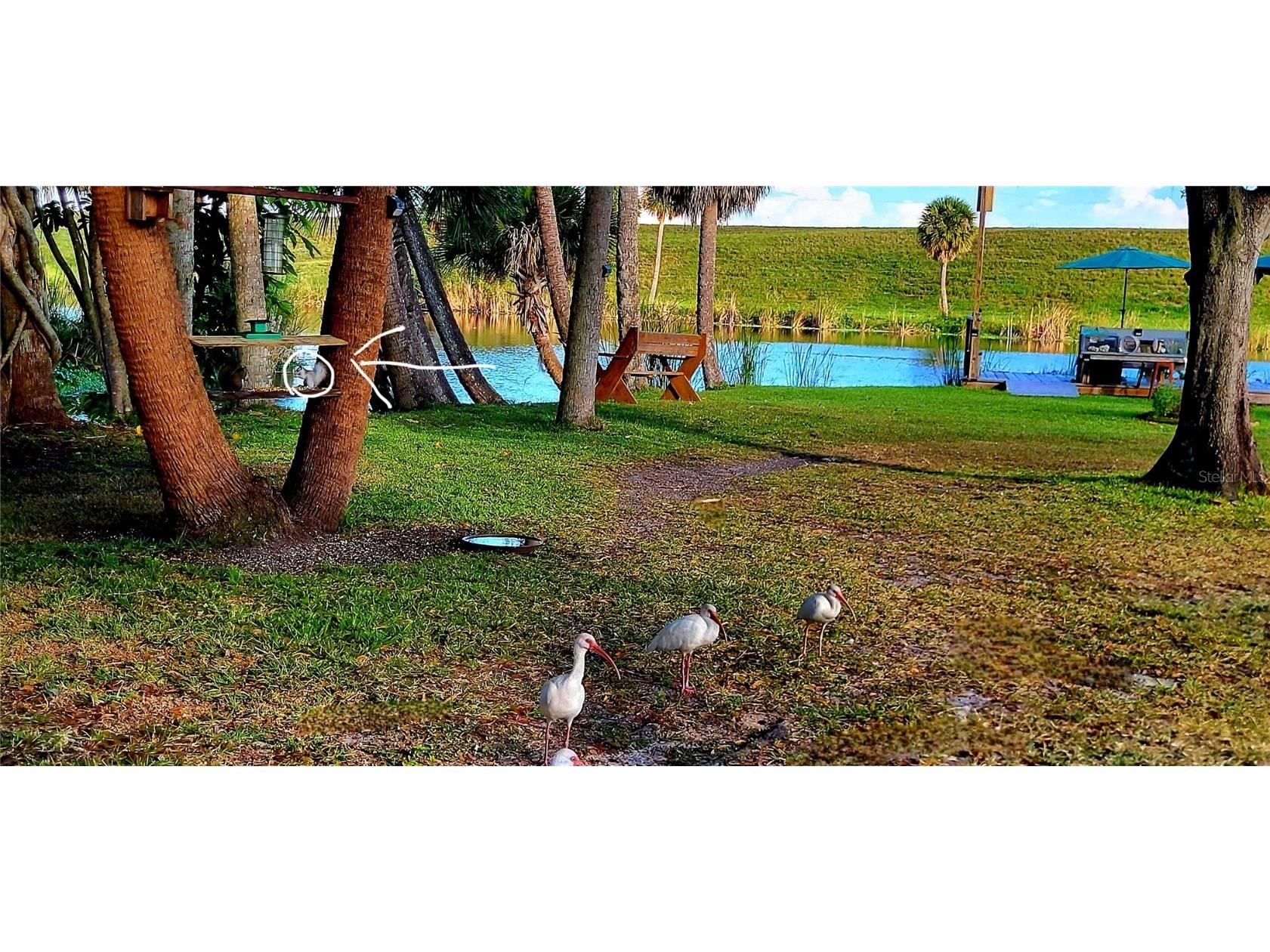 1025 Roberts Lane Moore Haven FL 33471 - LAKE OKEECHOBEE OK225716 image20