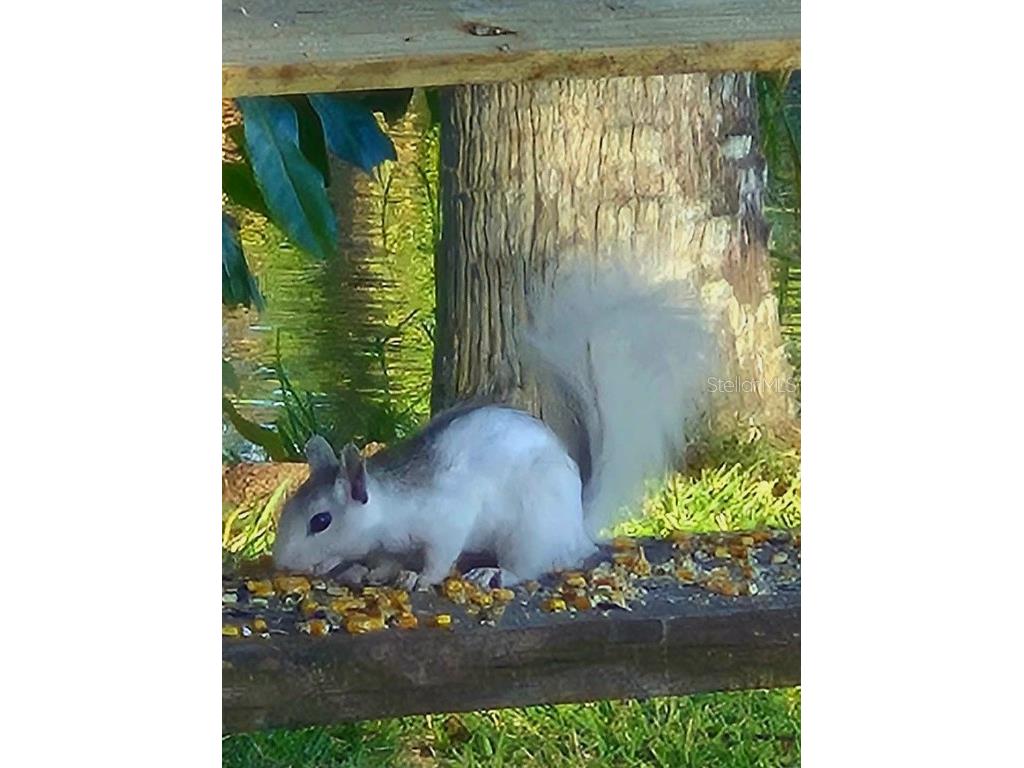 1025 Roberts Lane Moore Haven FL 33471 - LAKE OKEECHOBEE OK225716 image21