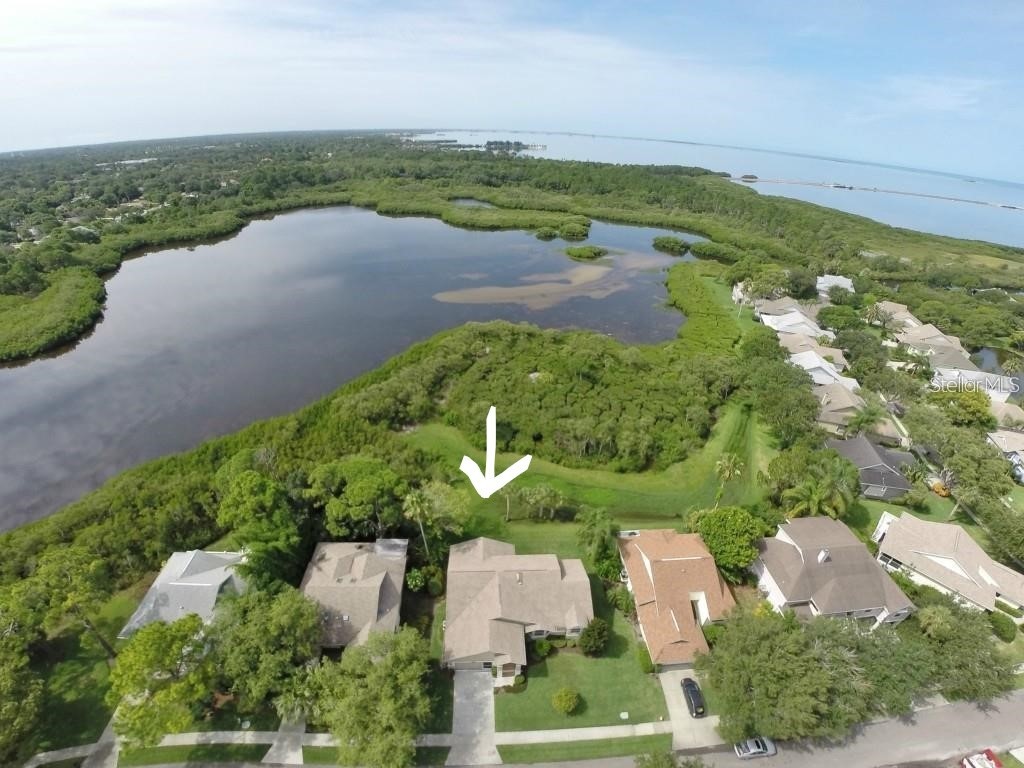 1025 S Pointe Alexis Drive Tarpon Springs FL 34689 - LAKE AVOCA U8203457 image1