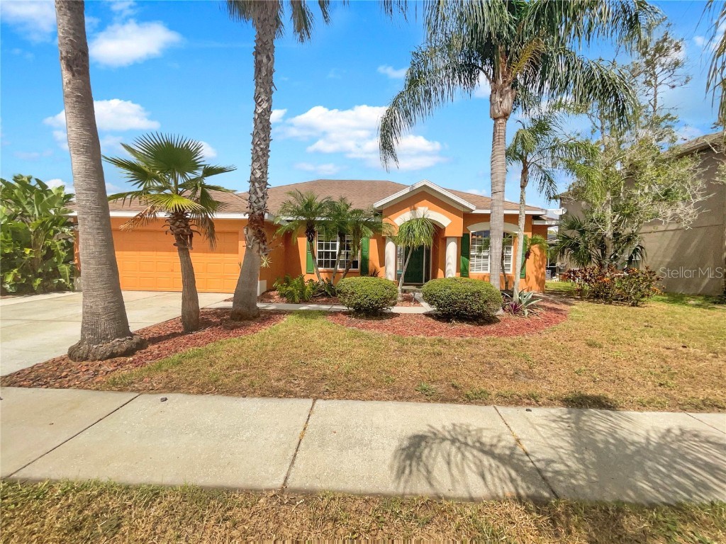 1025 Sawgrass Drive Tarpon Springs FL 34689 T3512815 image1