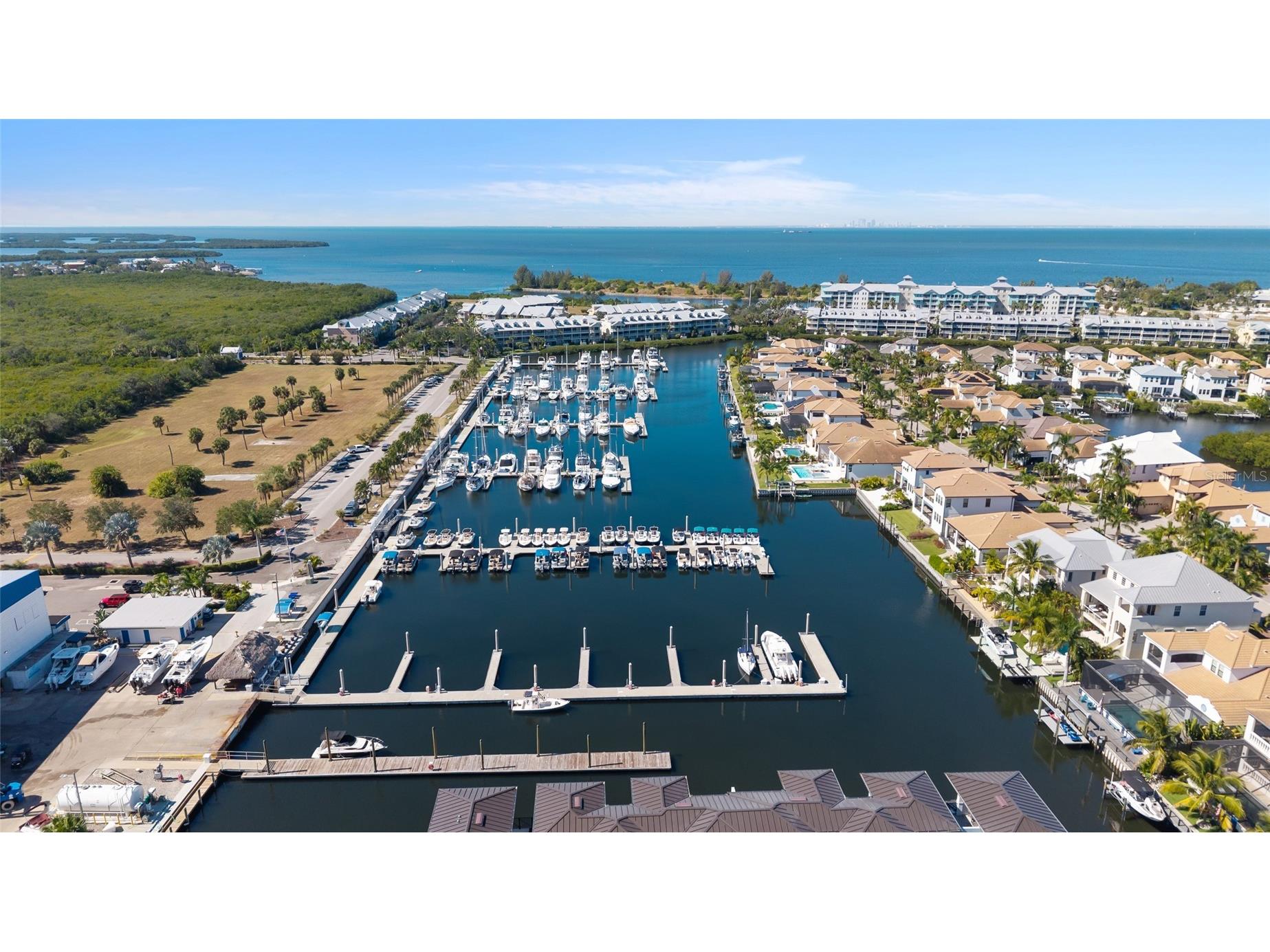 1025 Seagrape Drive Ruskin FL 33570 TB8446095 image45