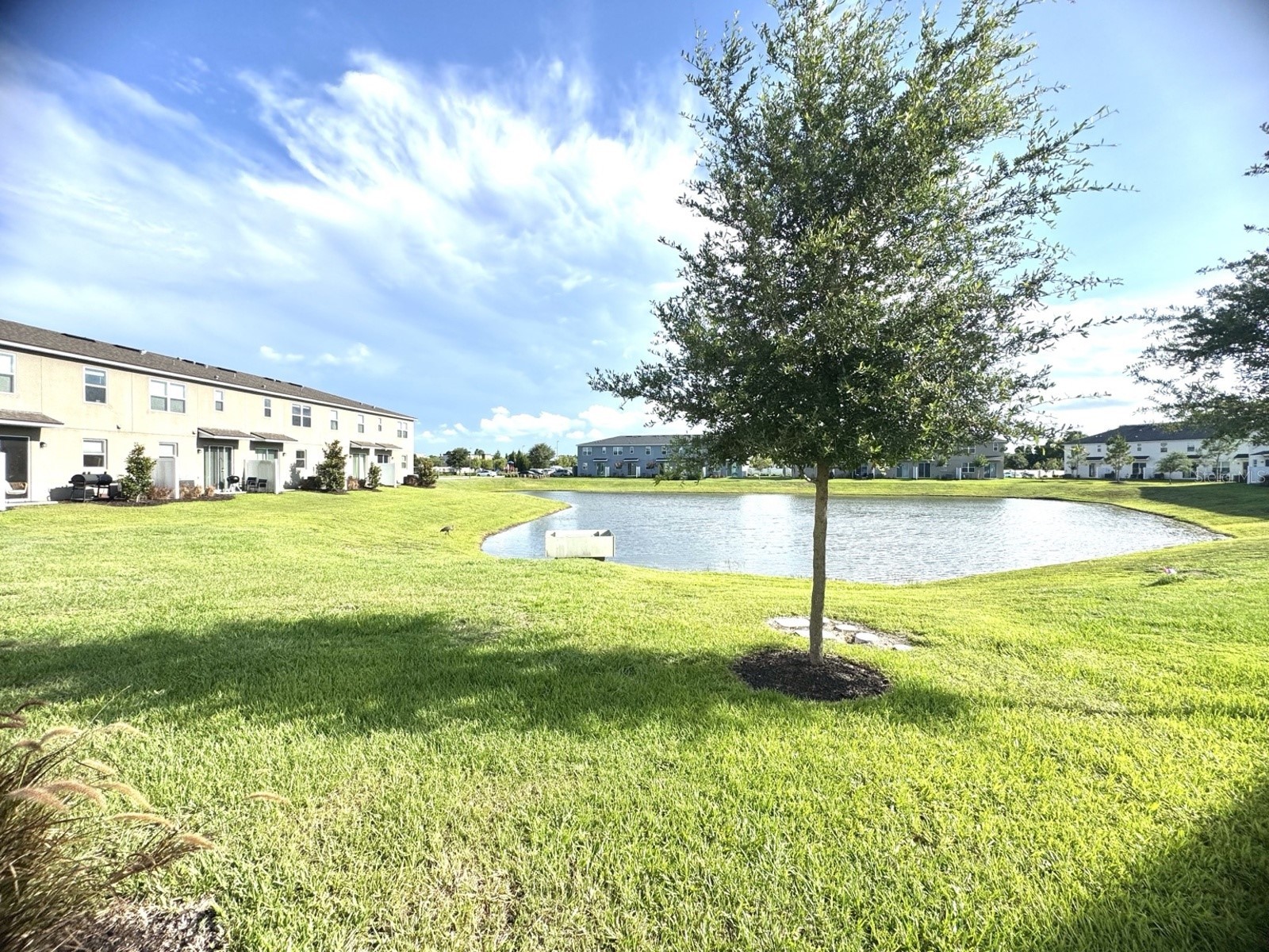 1025 Spring Palms Loop Orlando FL 32828 S5150543 image3