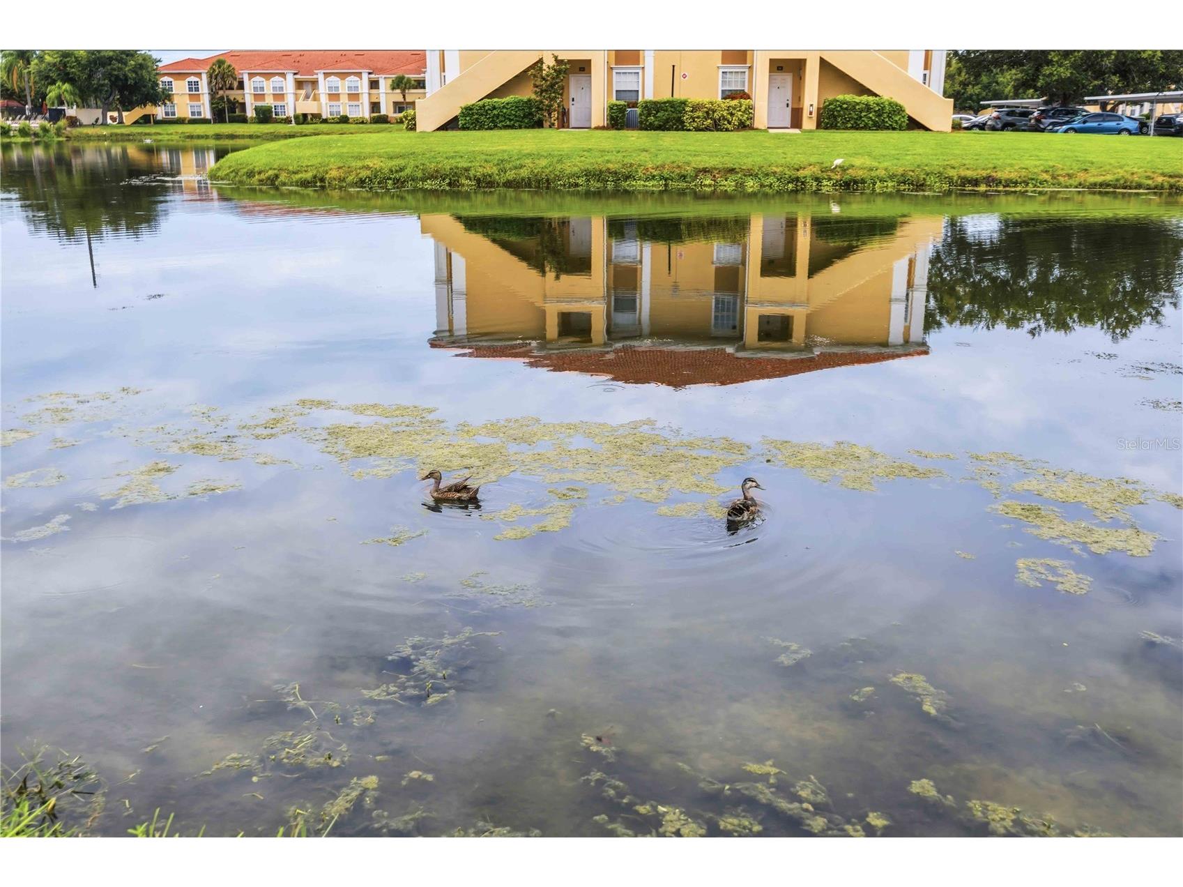 1025 Villagio Circle #208 Sarasota FL 34237 A4696723 image47