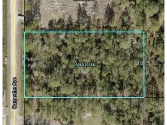 10250 Carpenter Avenue Hastings FL 32145 FC291226 image1