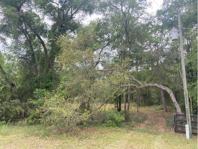 10250 NE 131st Place Archer FL 32618 GC512660 image1