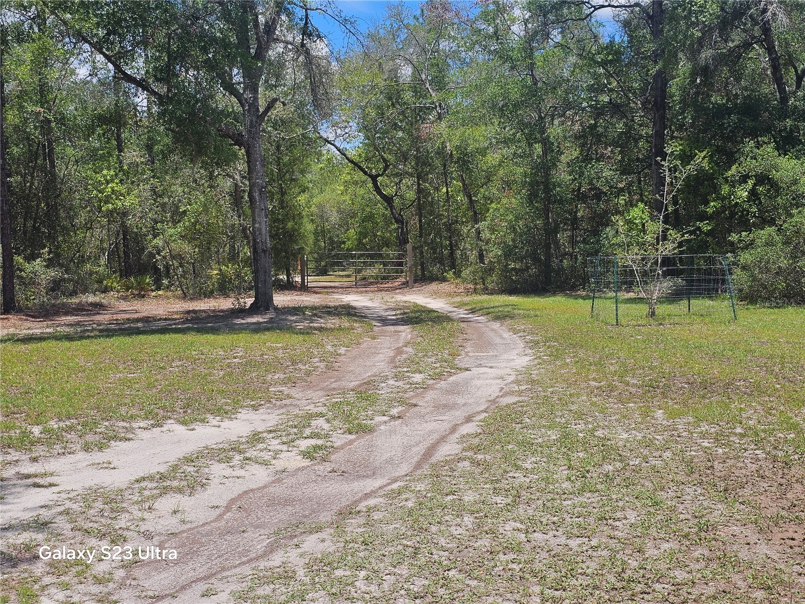10250 NE 5th Avenue Branford FL 32008 - CLEAR POND GC541137 image33